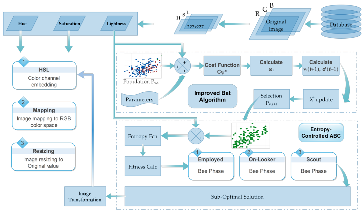 Bioengineering 13 00506 g003 Bioengineering 13 00506 g003