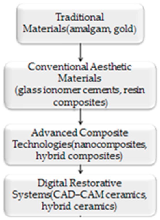 Bioengineering 13 00542 g001 Bioengineering 13 00542 g001