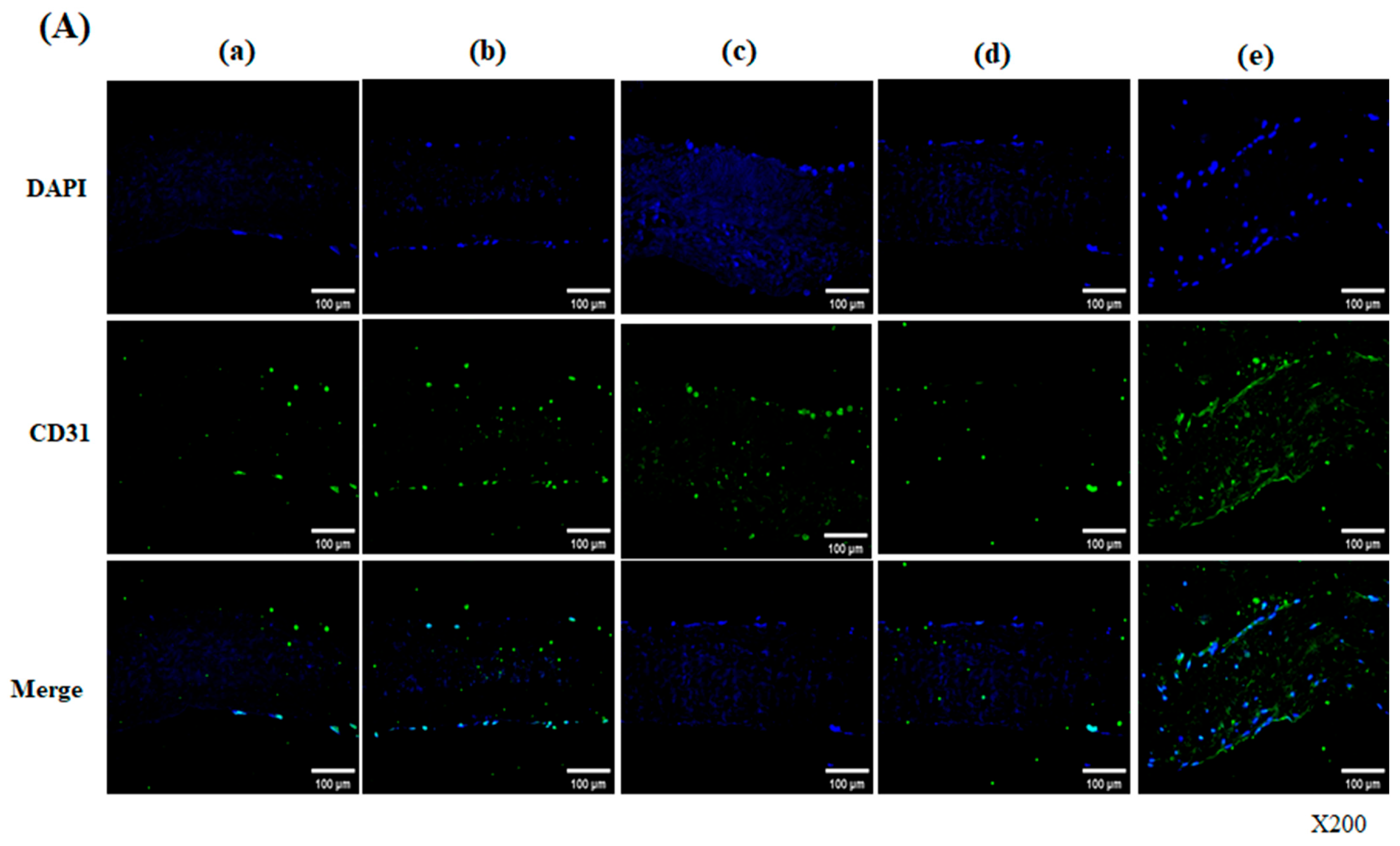Bioengineering 13 00546 g006a