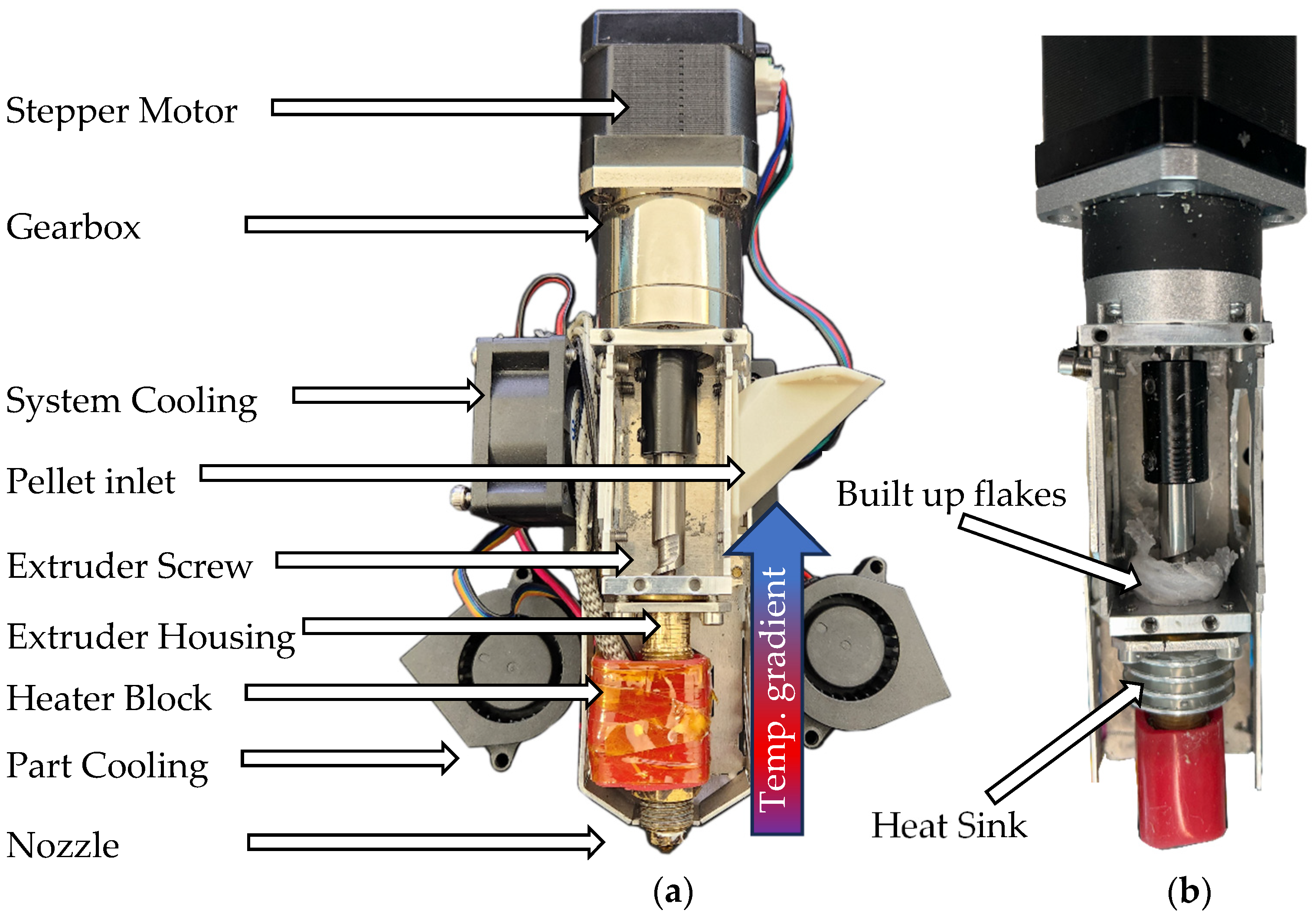Bioengineering 13 00558 g002 Bioengineering 13 00558 g002