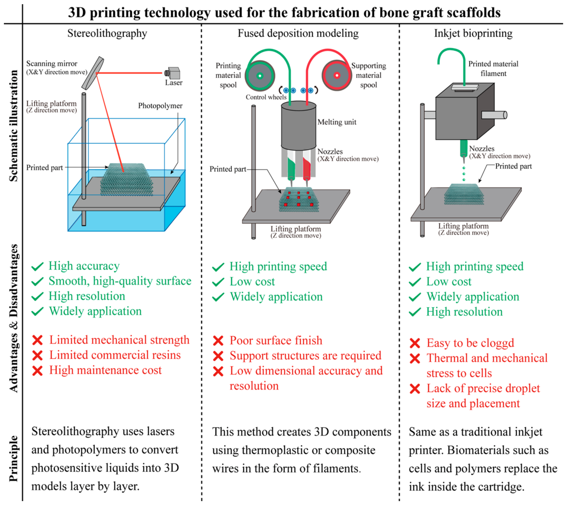 Bioengineering 13 00569 g002