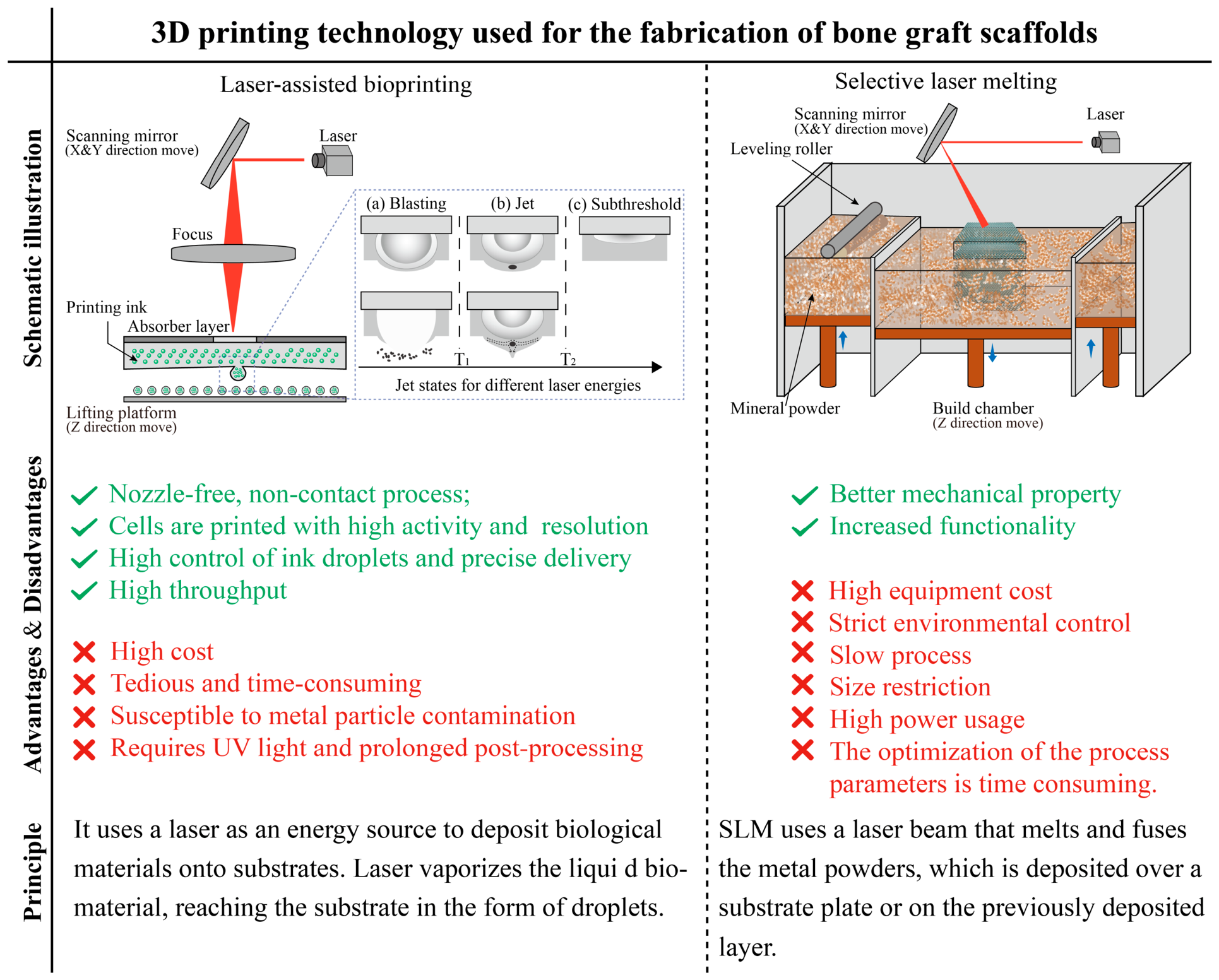 Bioengineering 13 00569 g003