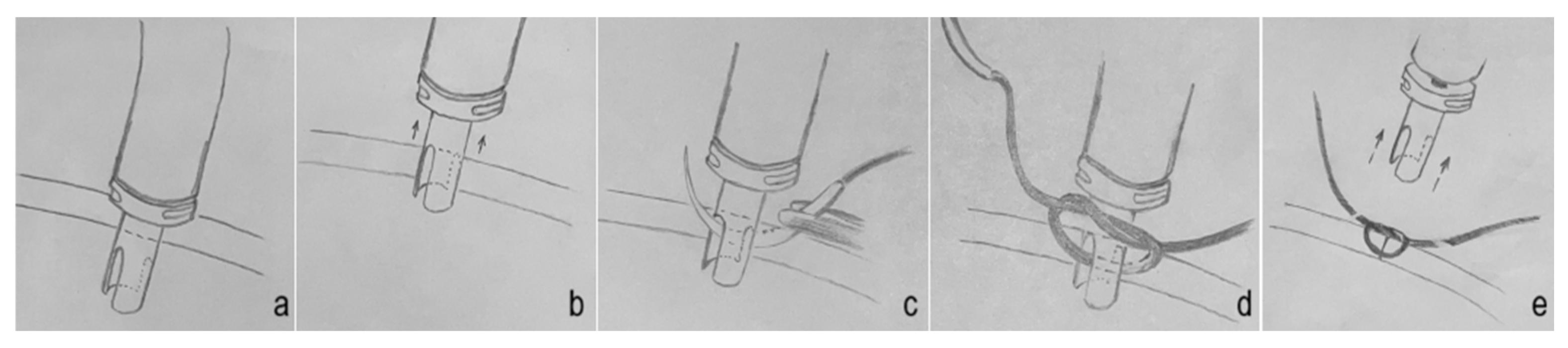 Bioengineering 13 00580 g002