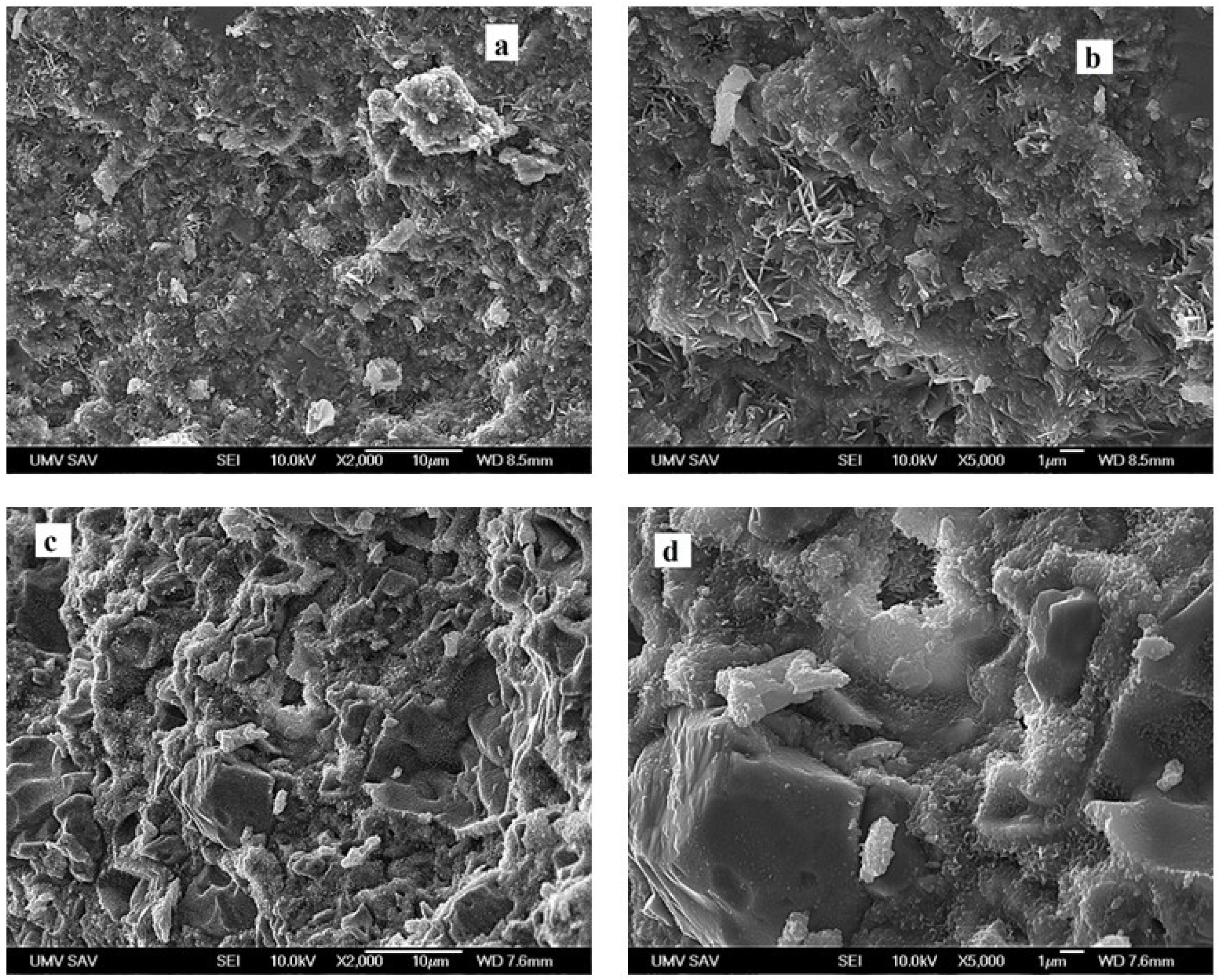 Bioengineering 13 00585 g009