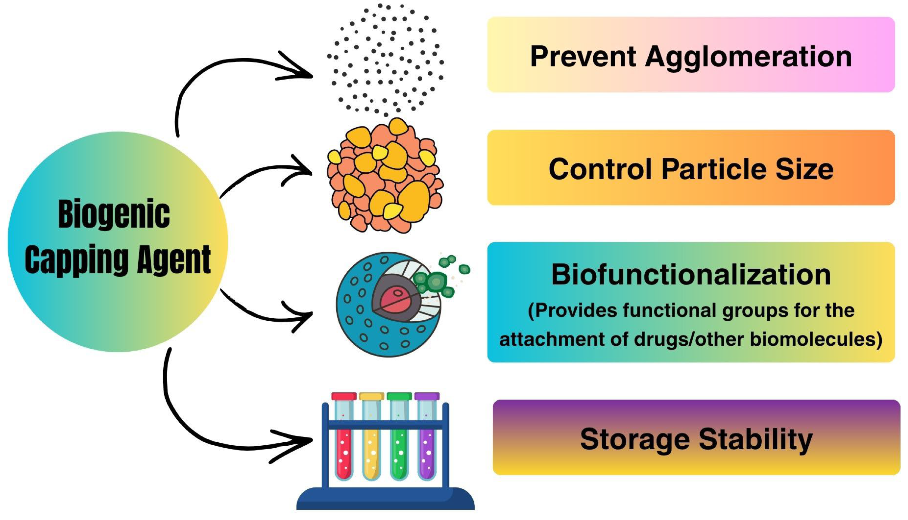 Bioengineering 13 00587 g005 Bioengineering 13 00587 g005