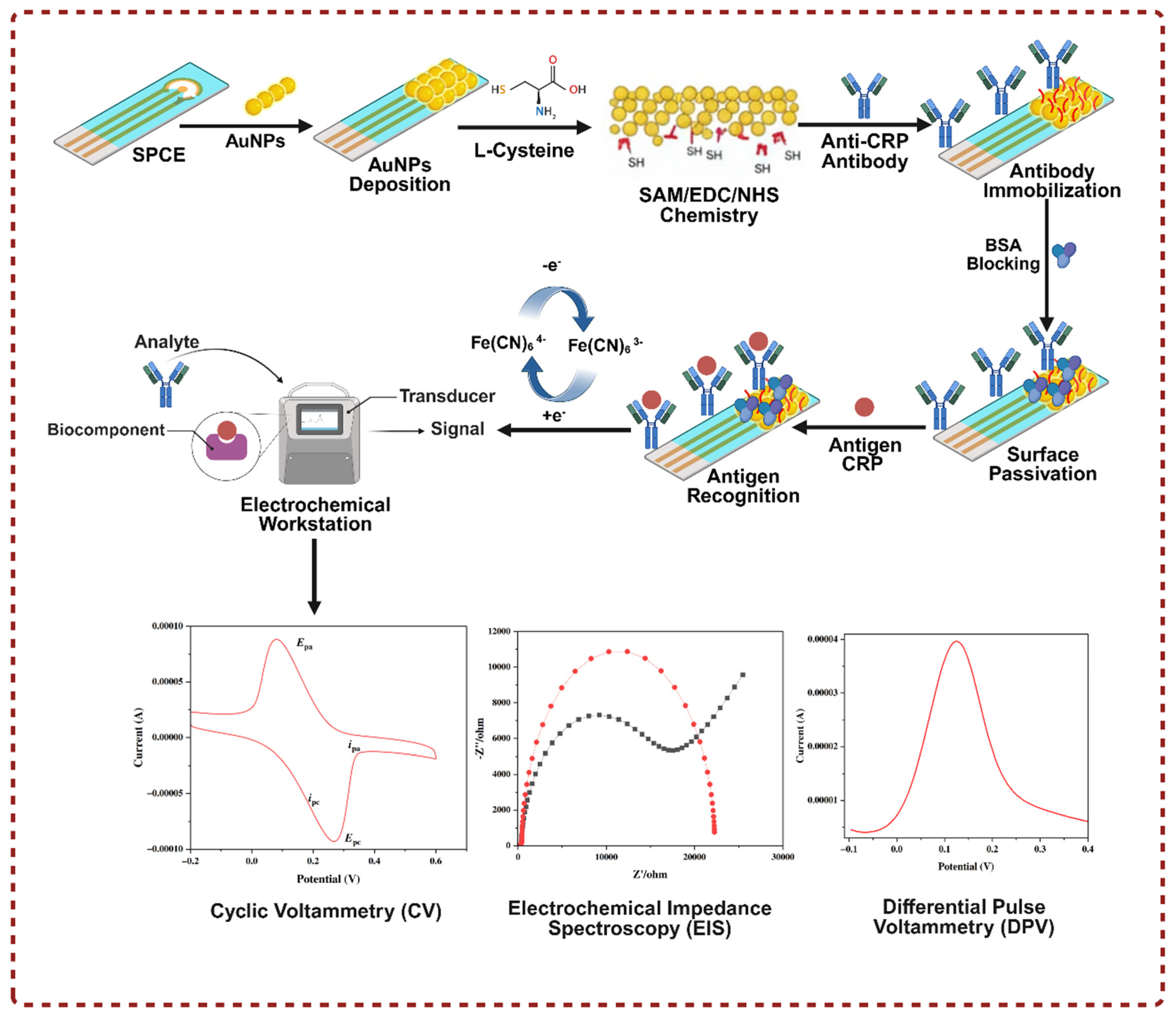 Bioengineering 13 00592 g001 Bioengineering 13 00592 g001