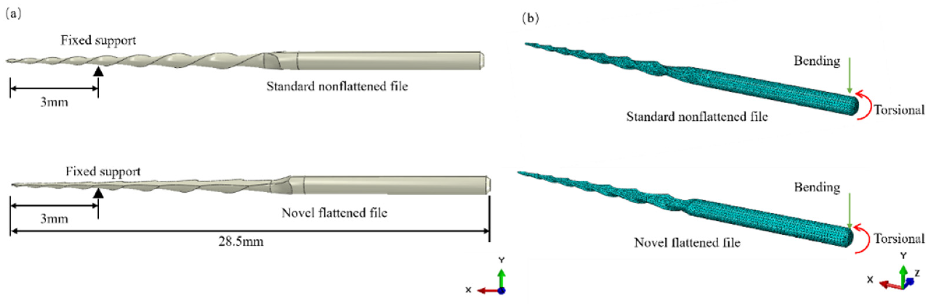 Bioengineering 13 00600 g001