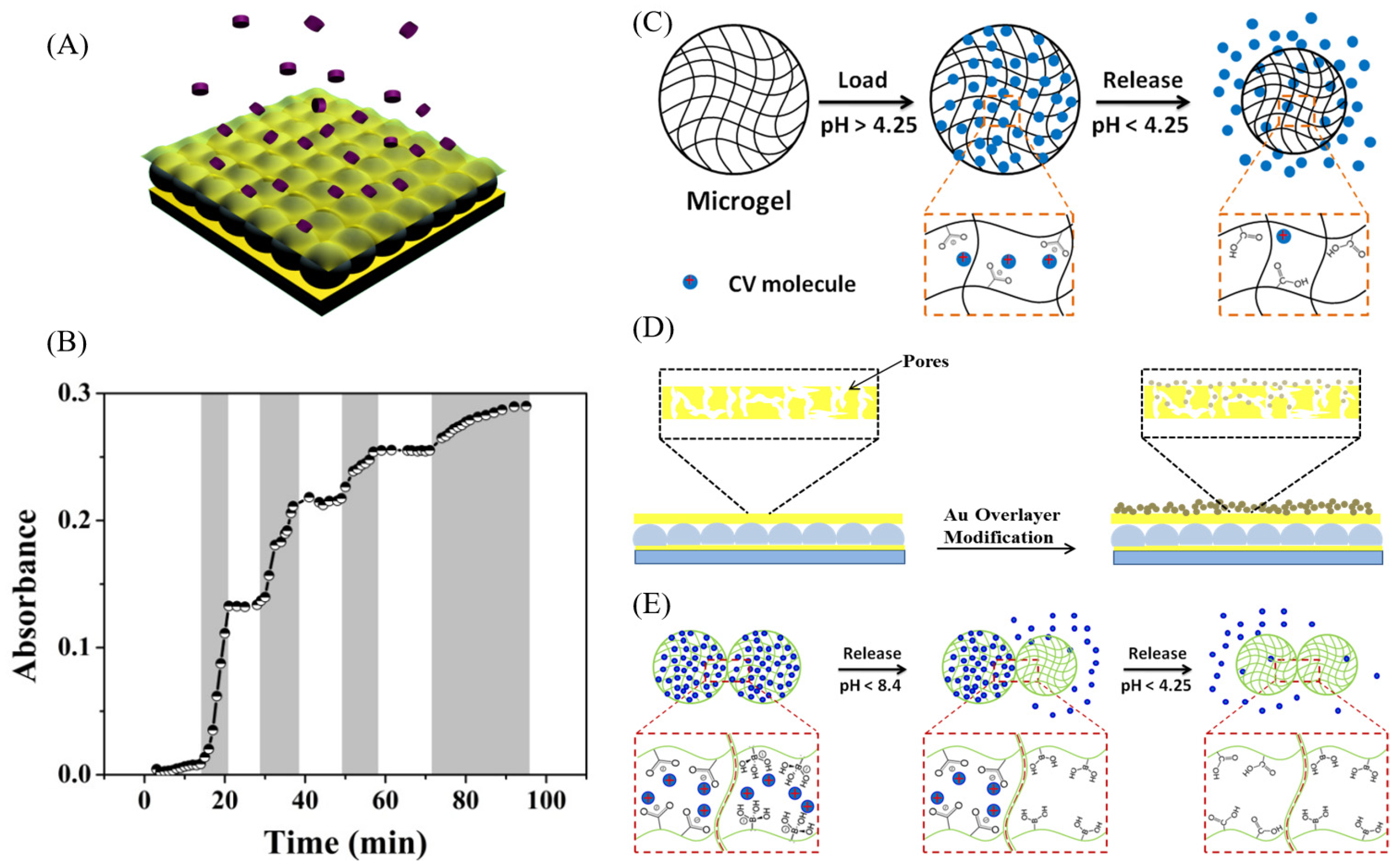 Bioengineering 13 00609 g004