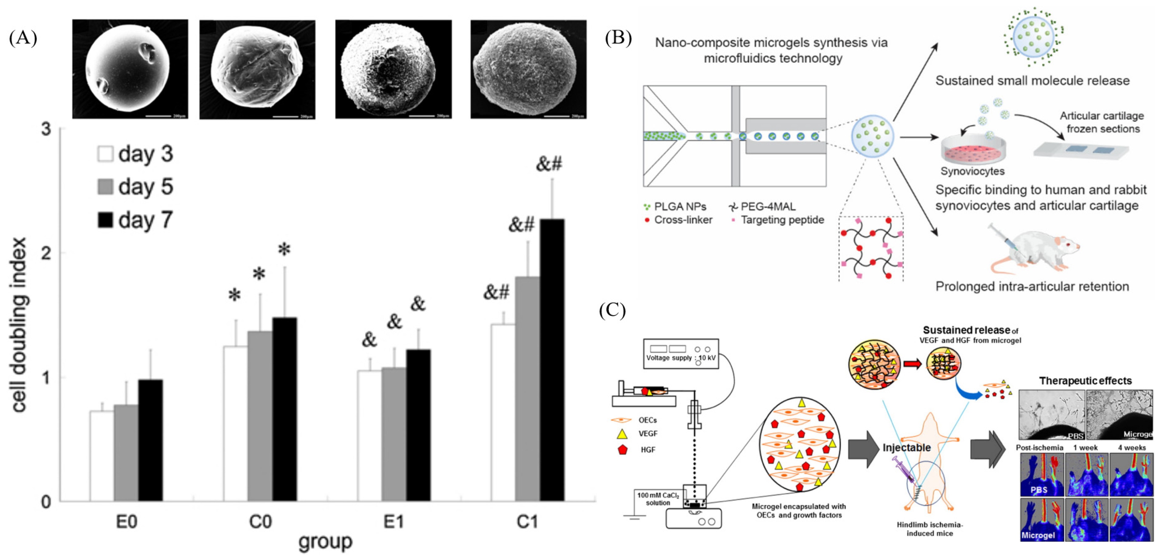 Bioengineering 13 00609 g005