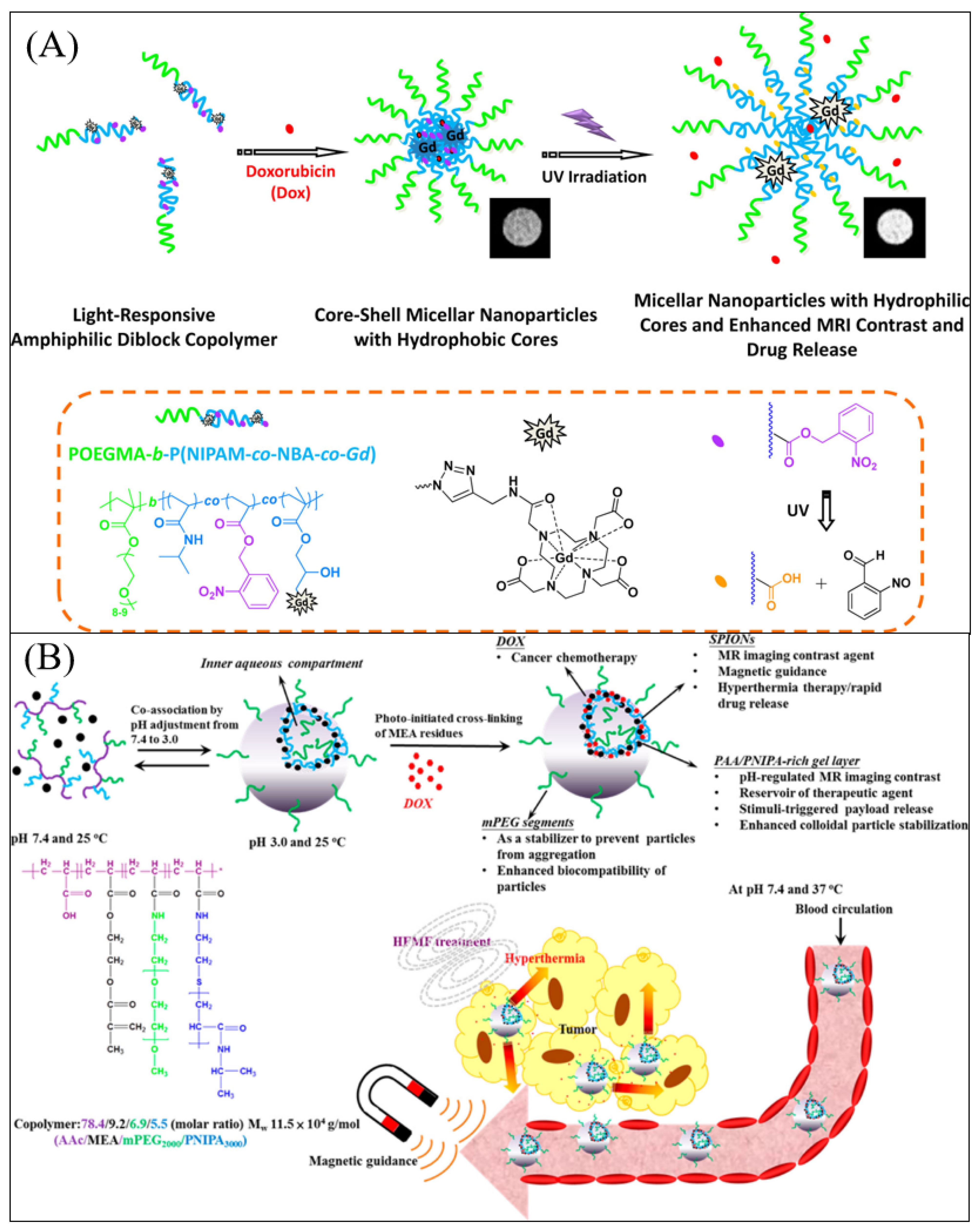 Bioengineering 13 00609 g007