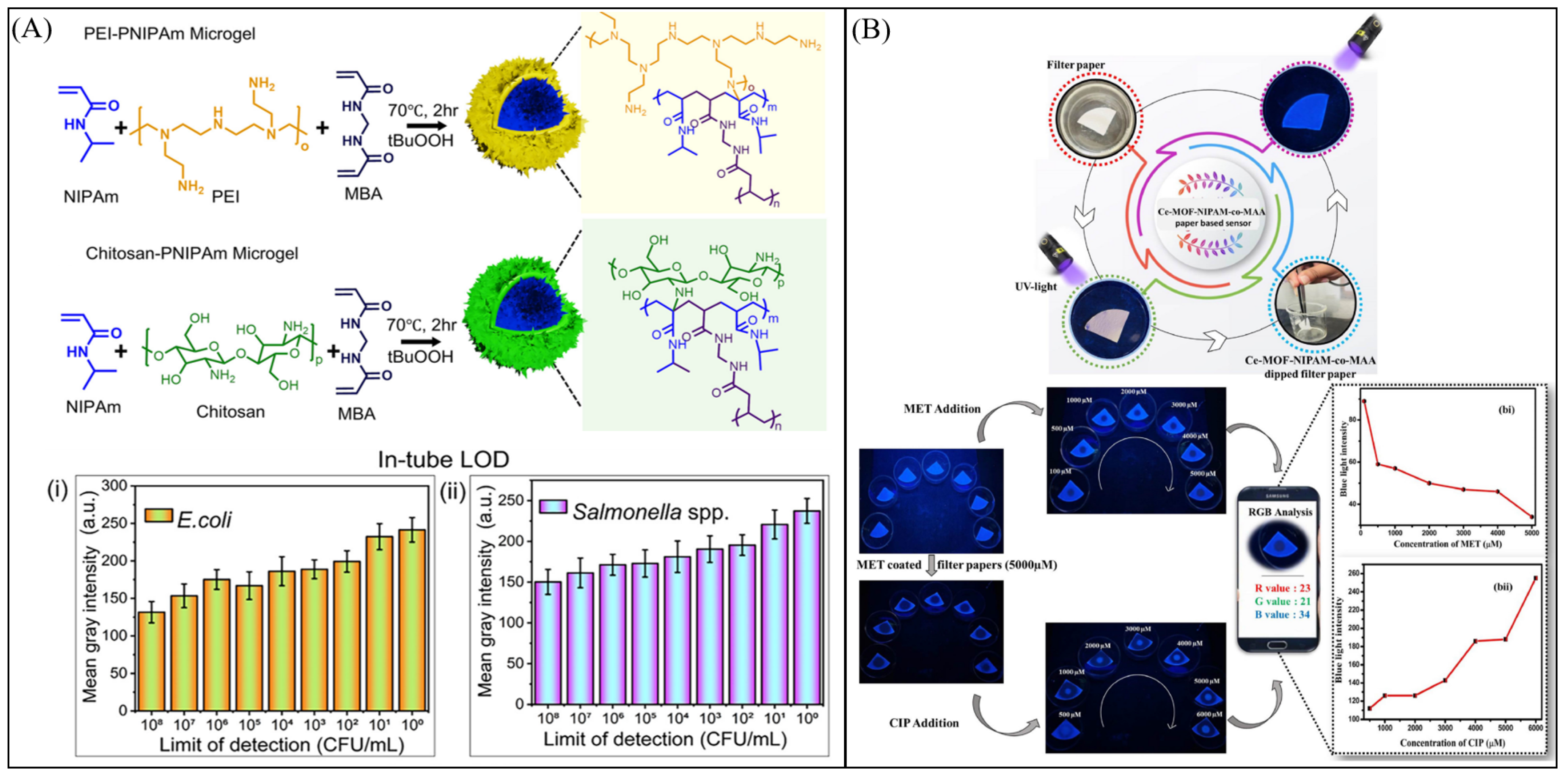 Bioengineering 13 00609 g009