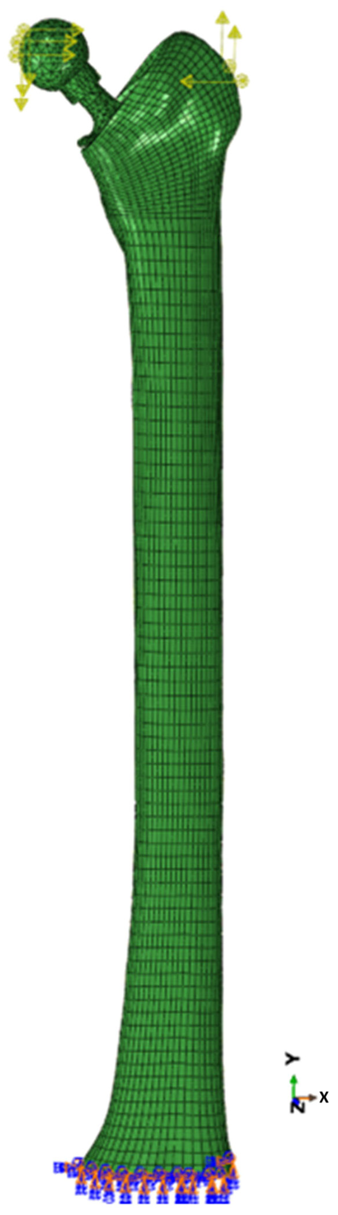 Bioengineering 13 00623 g003
