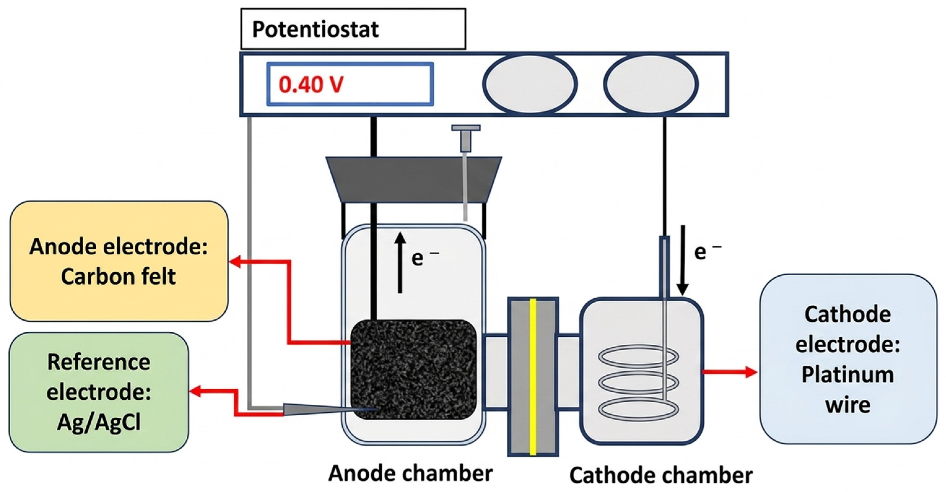 Bioengineering 13 00624 g001 Bioengineering 13 00624 g001