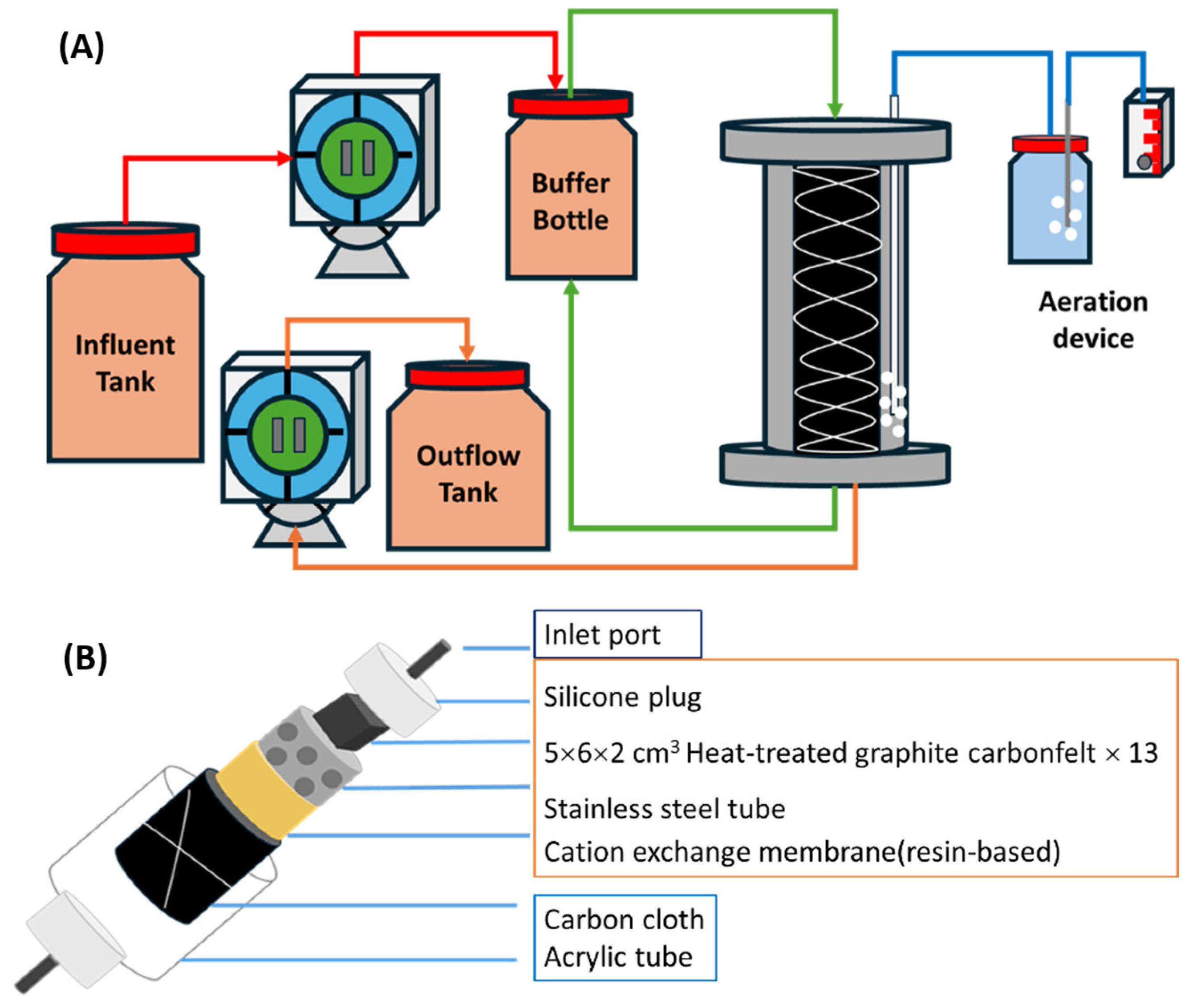 Bioengineering 13 00624 g002 Bioengineering 13 00624 g002
