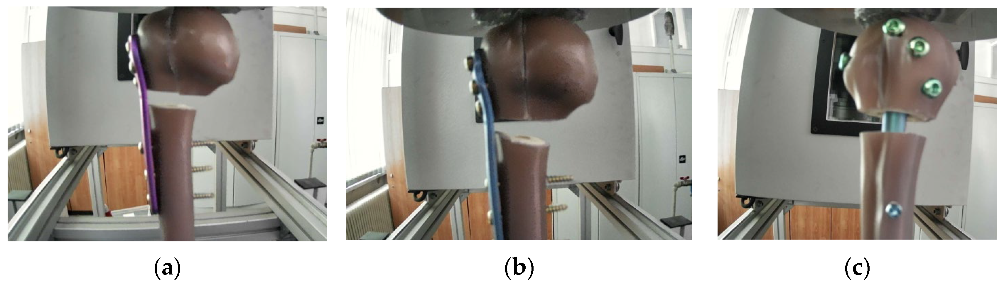Bioengineering 13 00625 g004 Bioengineering 13 00625 g004
