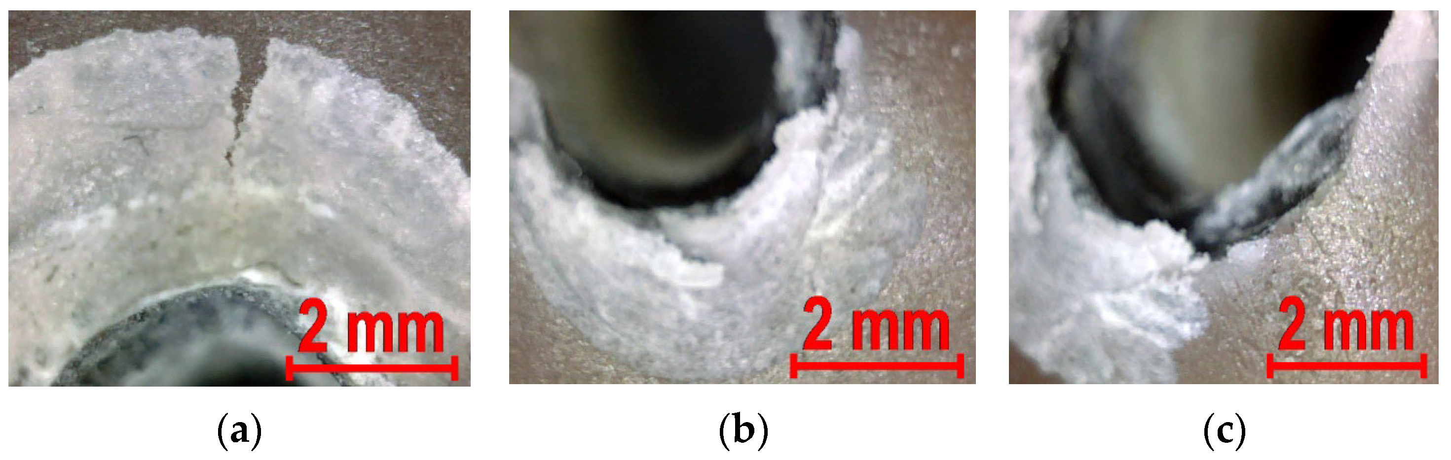Bioengineering 13 00625 g012 Bioengineering 13 00625 g012