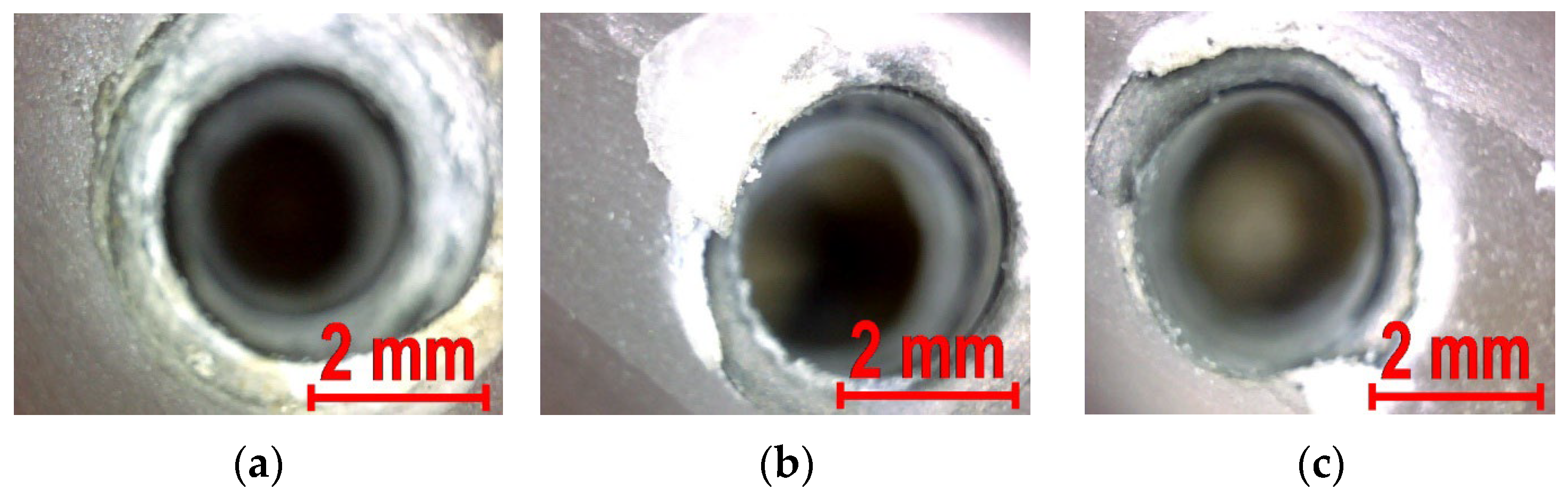 Bioengineering 13 00625 g017 Bioengineering 13 00625 g017