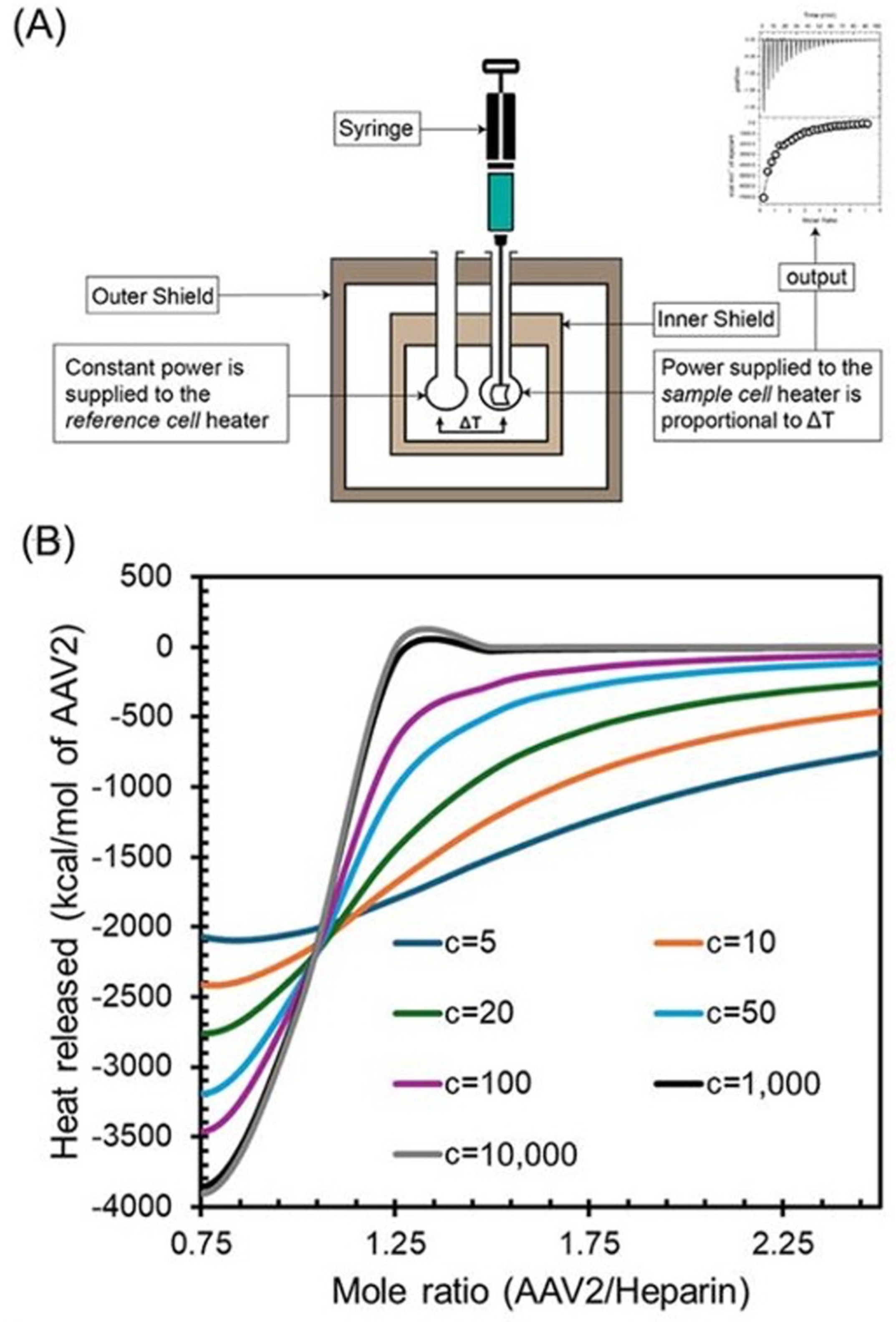 Bioengineering 13 00631 g001 Bioengineering 13 00631 g001