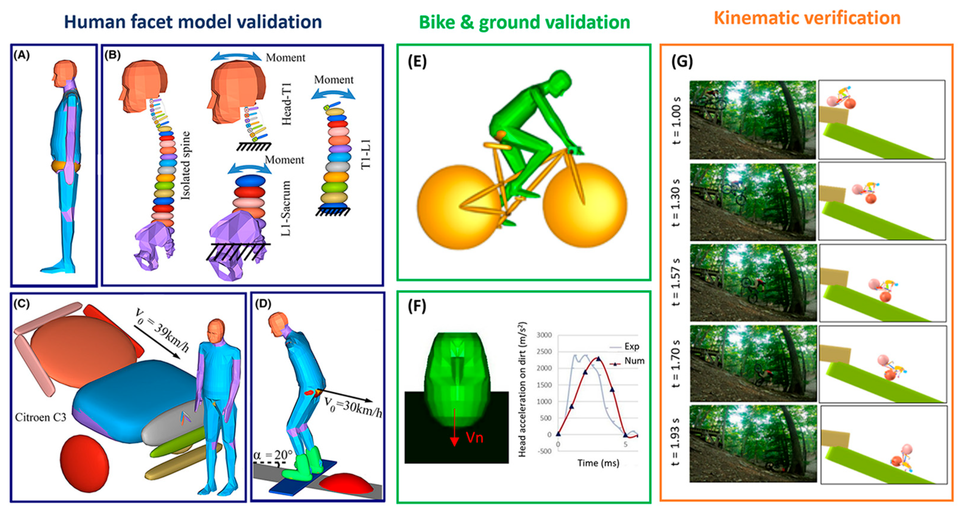 Bioengineering 13 00636 g001 Bioengineering 13 00636 g001