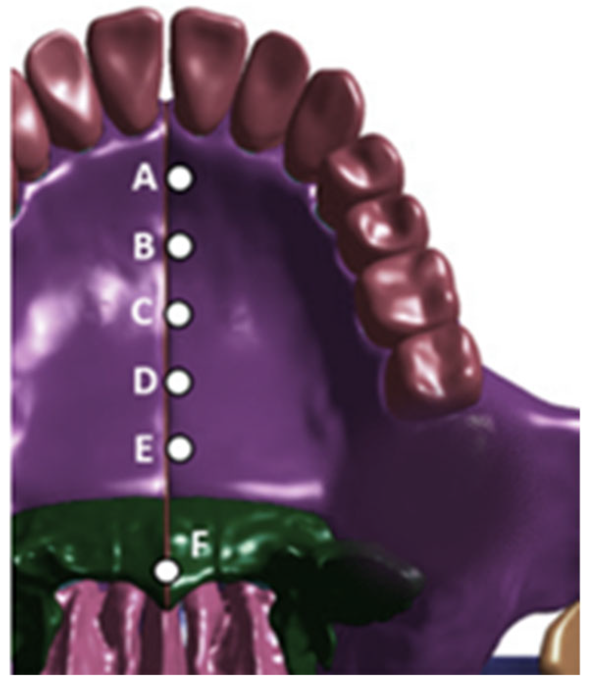 Bioengineering 13 00648 g005