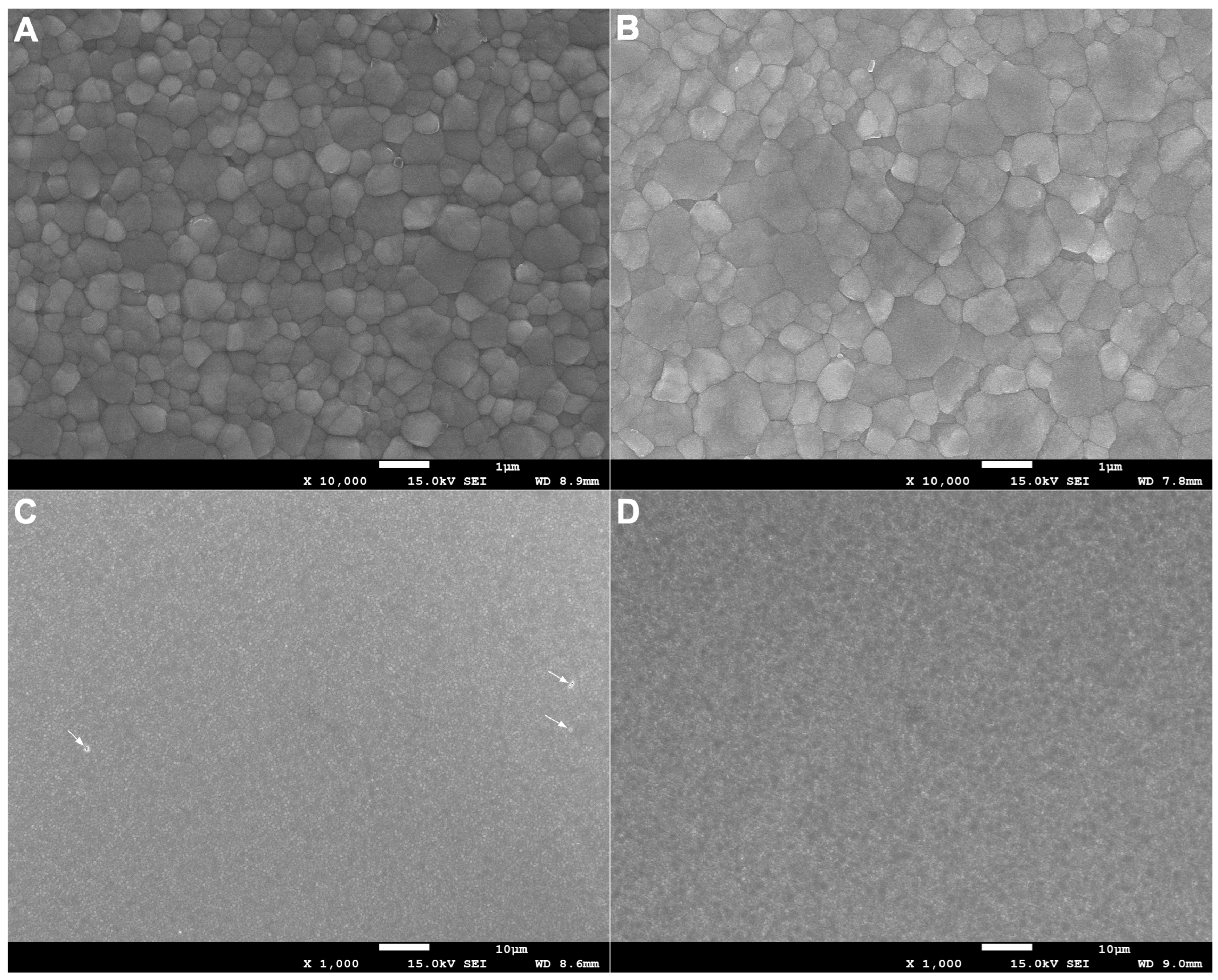 Bioengineering 13 00702 g001 Bioengineering 13 00702 g001