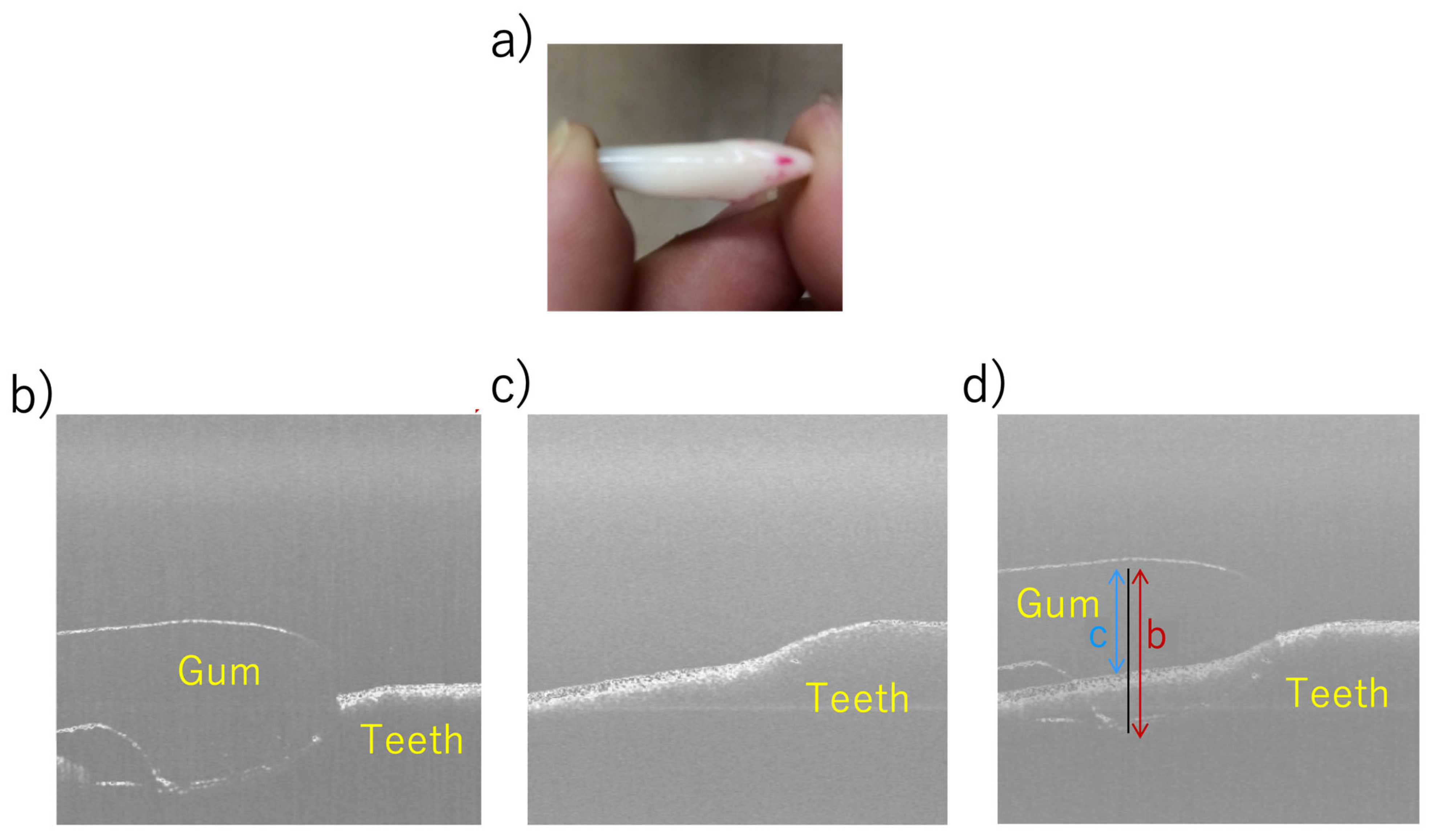Bioengineering 13 00743 g007