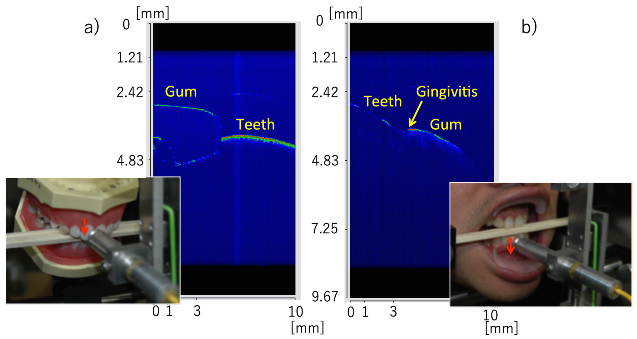 Bioengineering 13 00743 g010