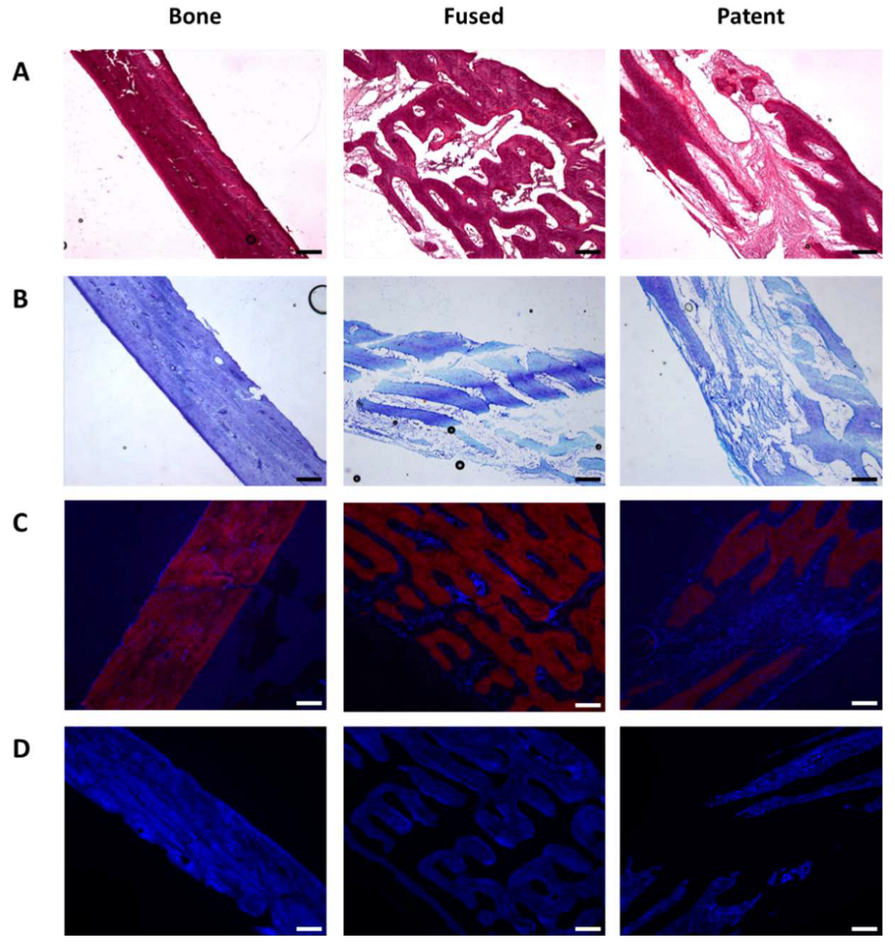 Bioengineering 13 00746 g003 Bioengineering 13 00746 g003