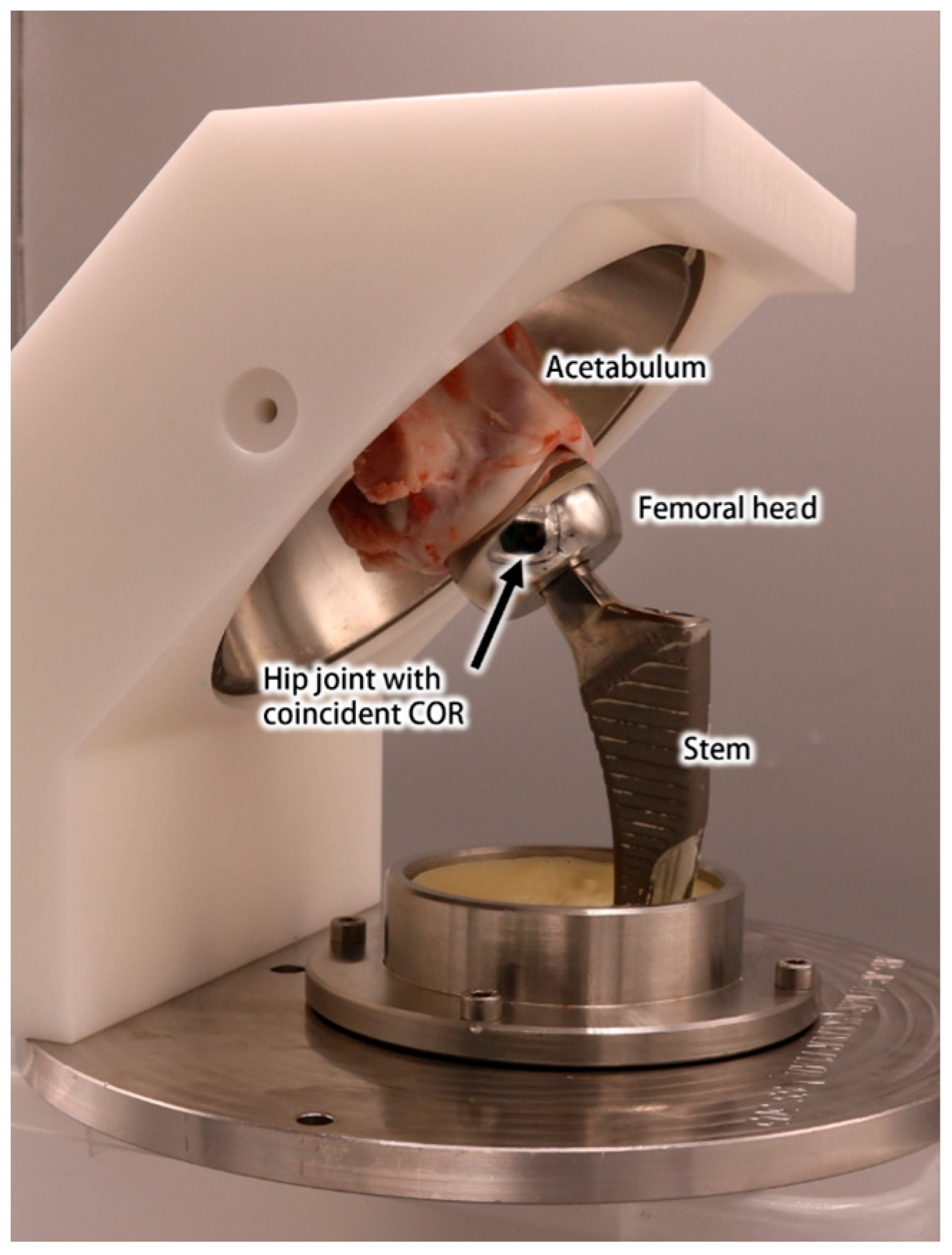 Bioengineering 13 00783 g001 Bioengineering 13 00783 g001