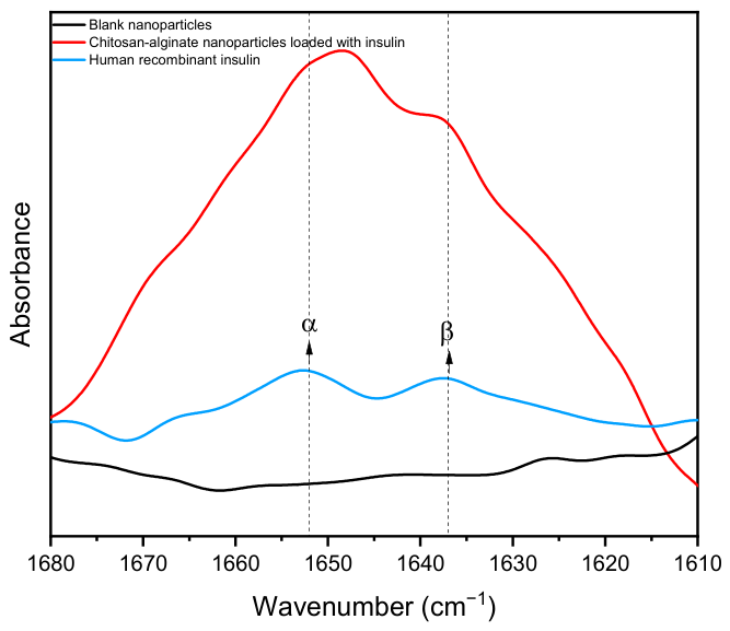 Bioengineering 13 00812 g011 Bioengineering 13 00812 g011