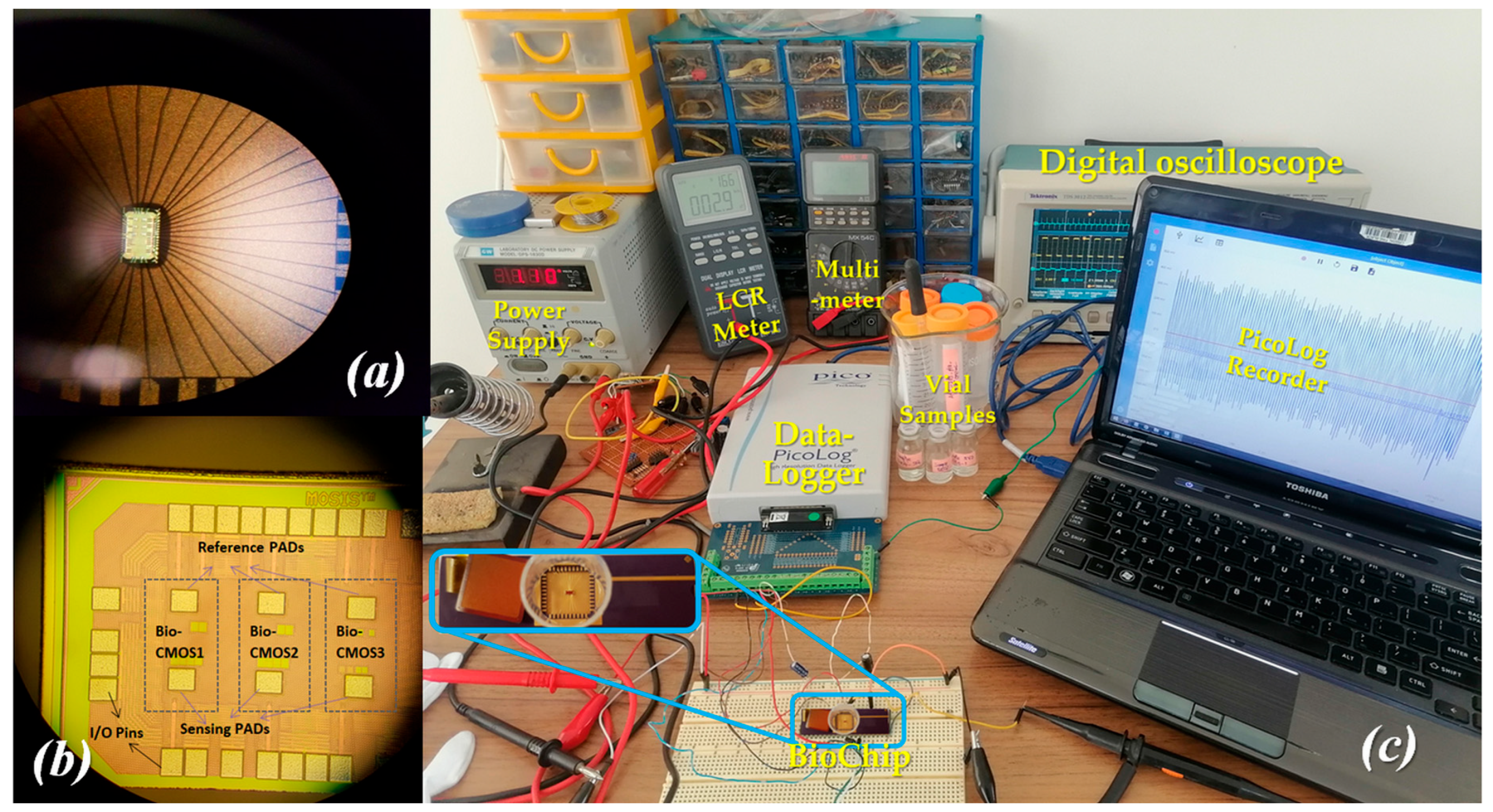 Bioengineering 13 00858 g002