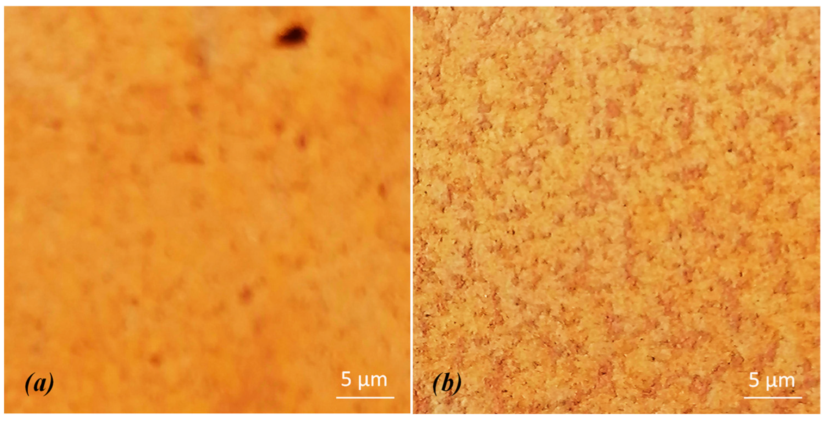 Bioengineering 13 00858 g004