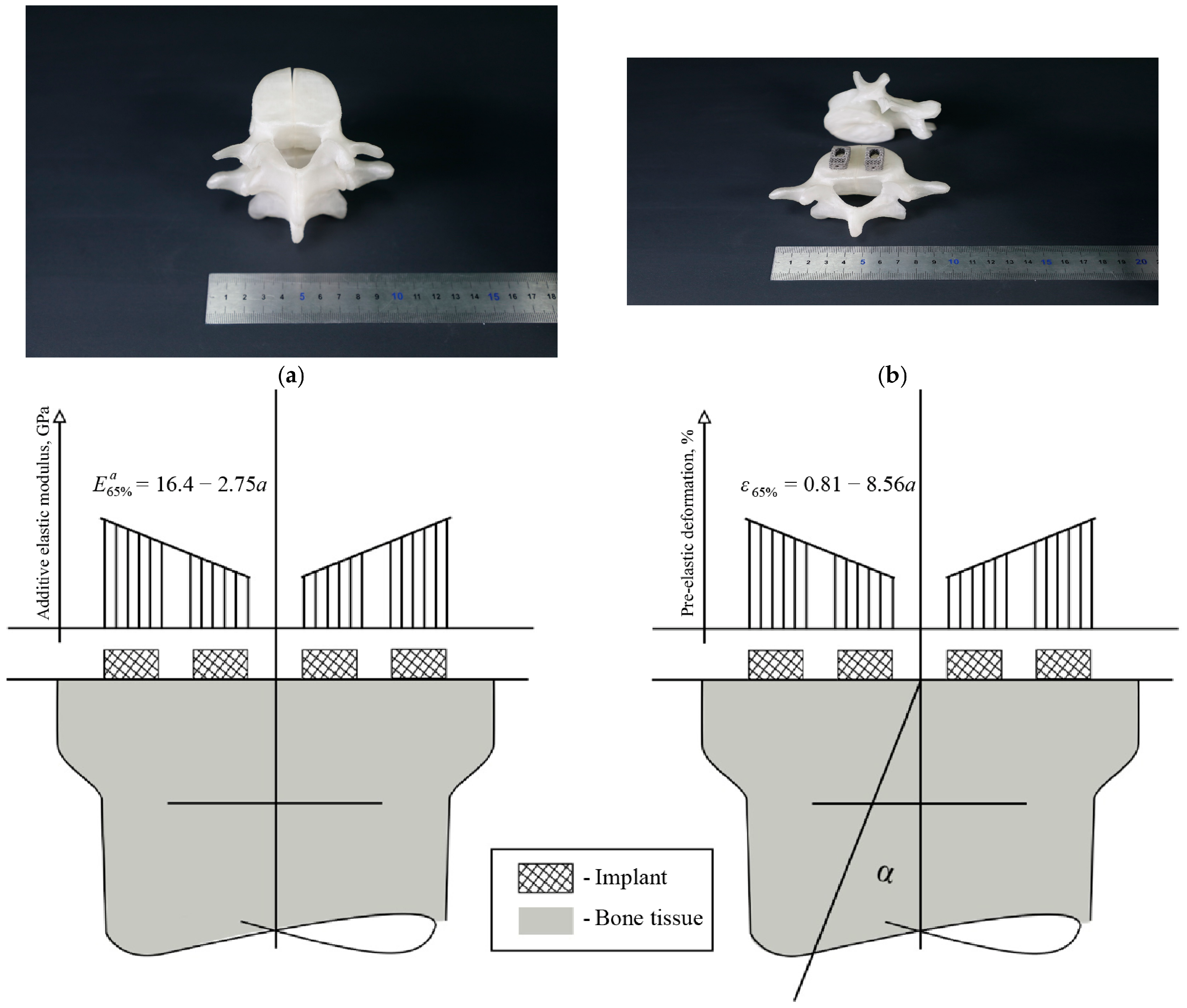 Bioengineering 13 00934 g010 Bioengineering 13 00934 g010