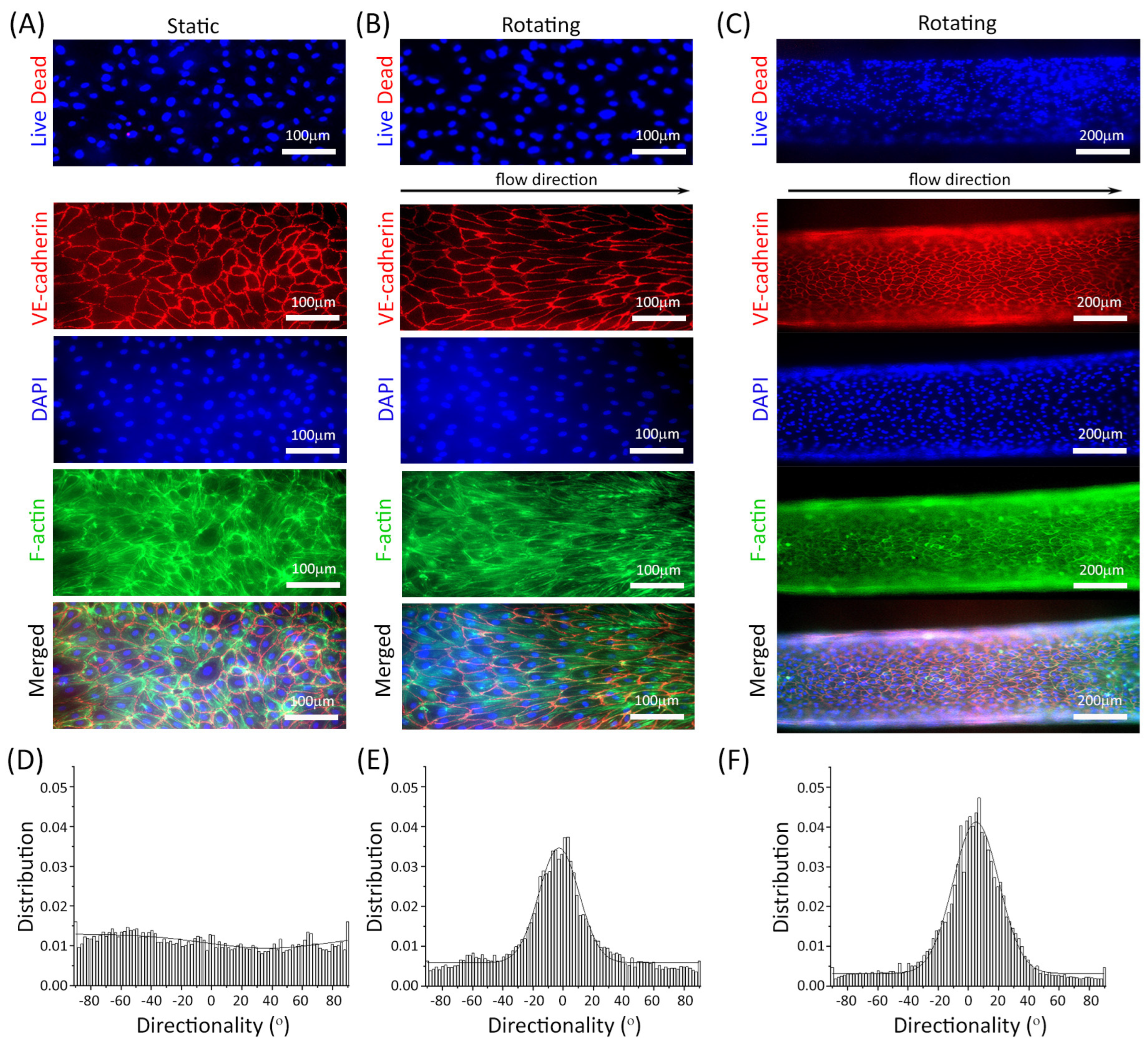 Bioengineering 13 01076 g006