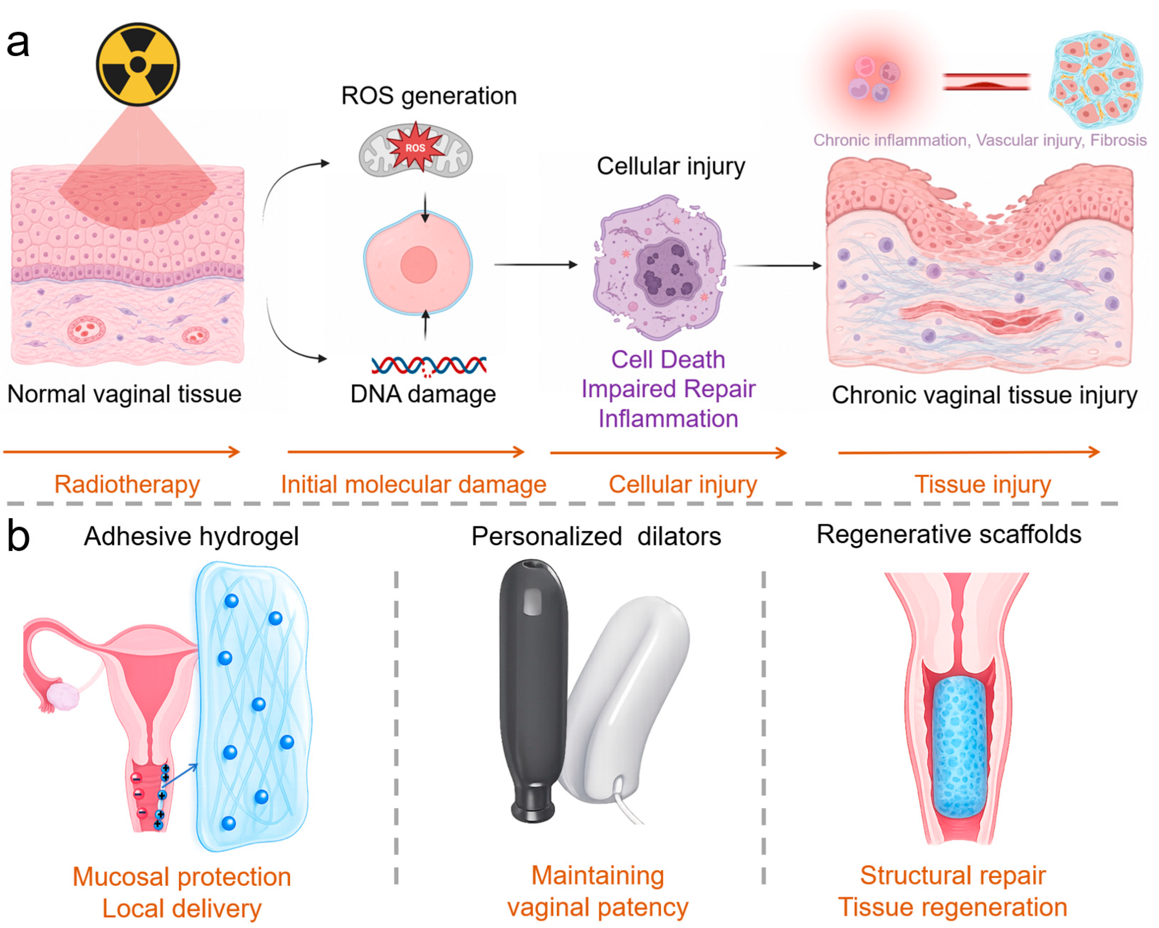 Bioengineering 13 01169 g001 Bioengineering 13 01169 g001