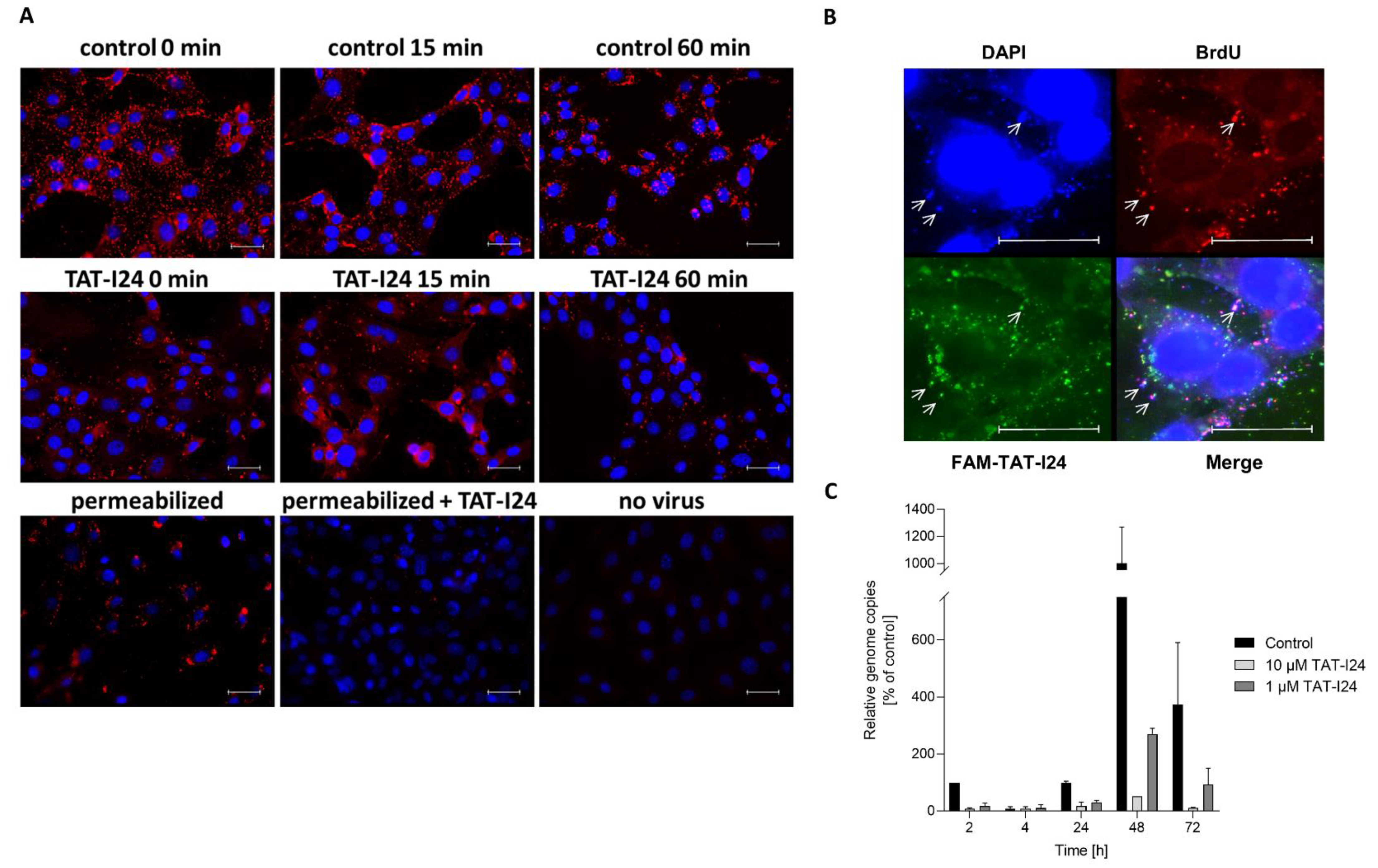 Biologics 01 00003 g007 Biologics 01 00003 g007