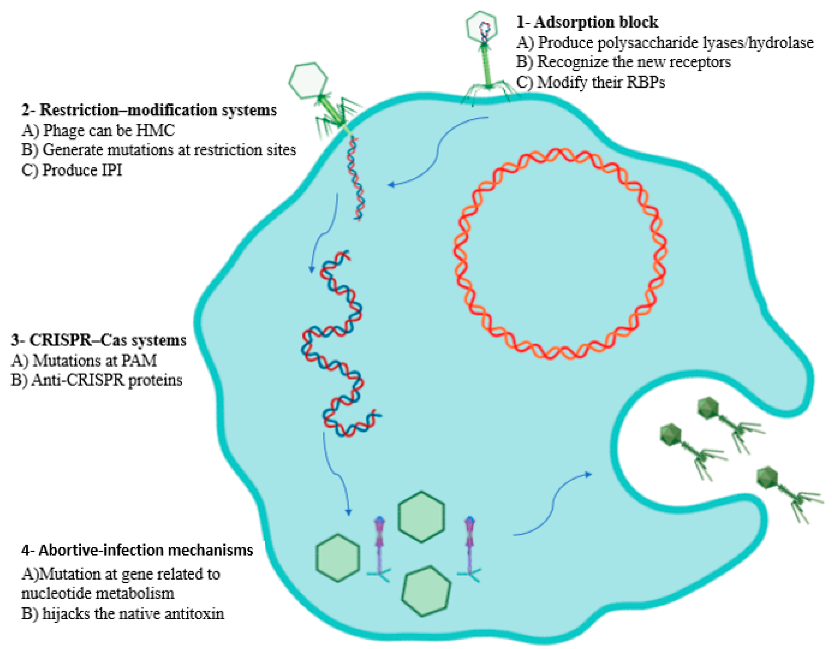 Biologics 01 00005 g001