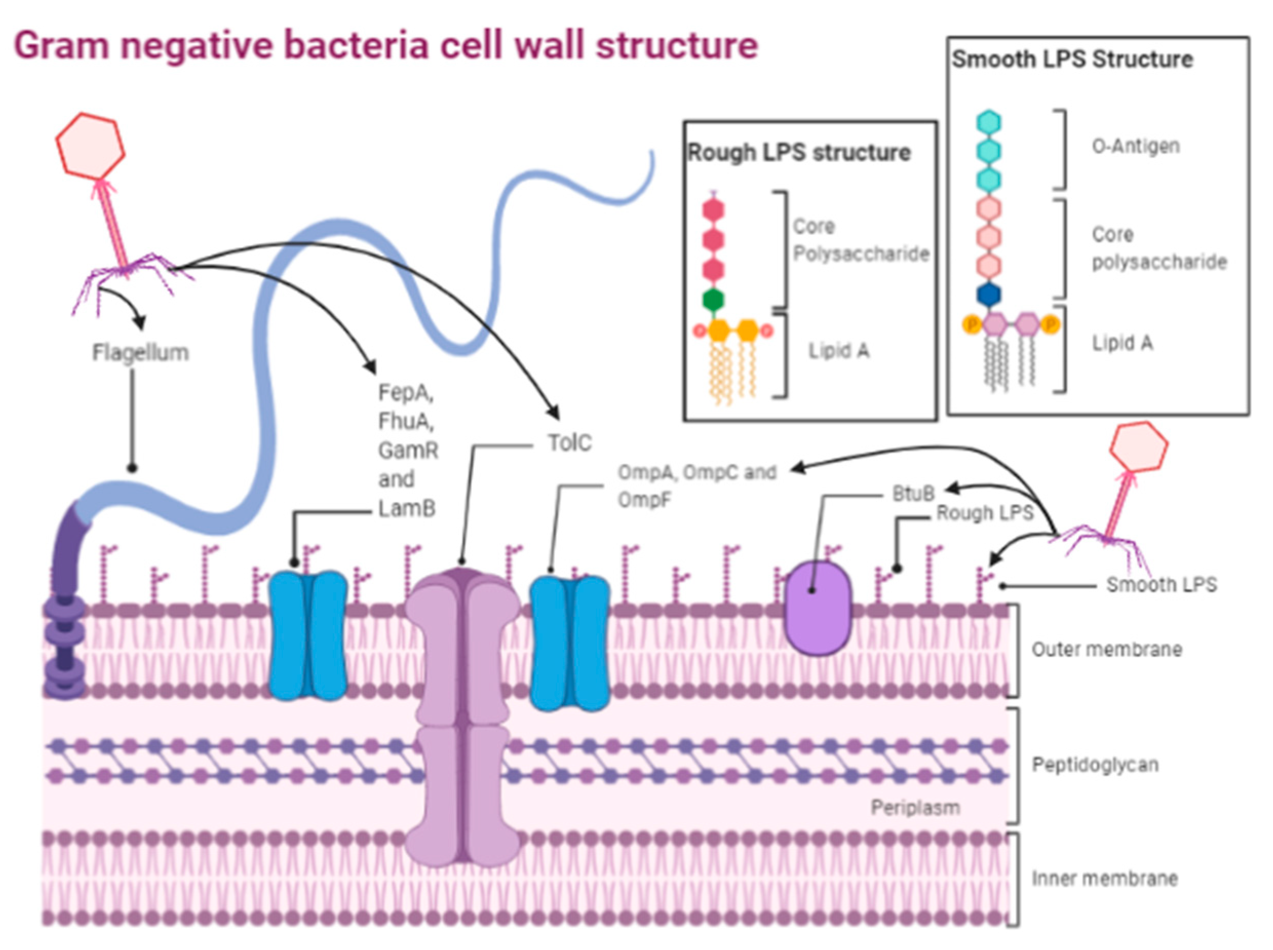 Biologics 01 00005 g002