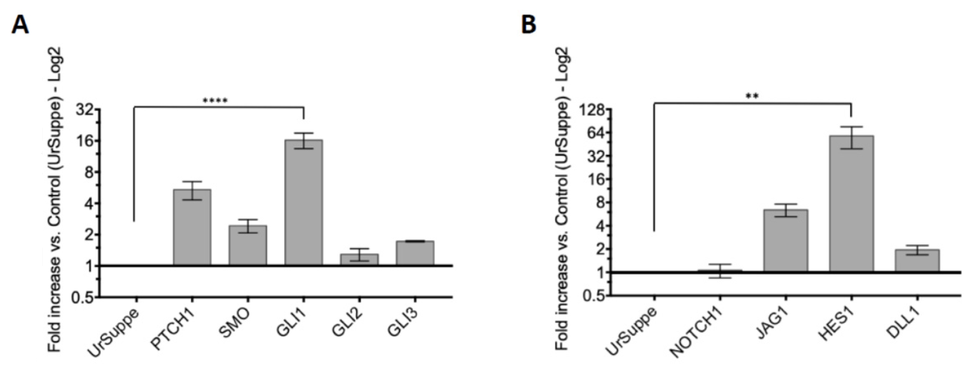 Biologics 01 00008 g003
