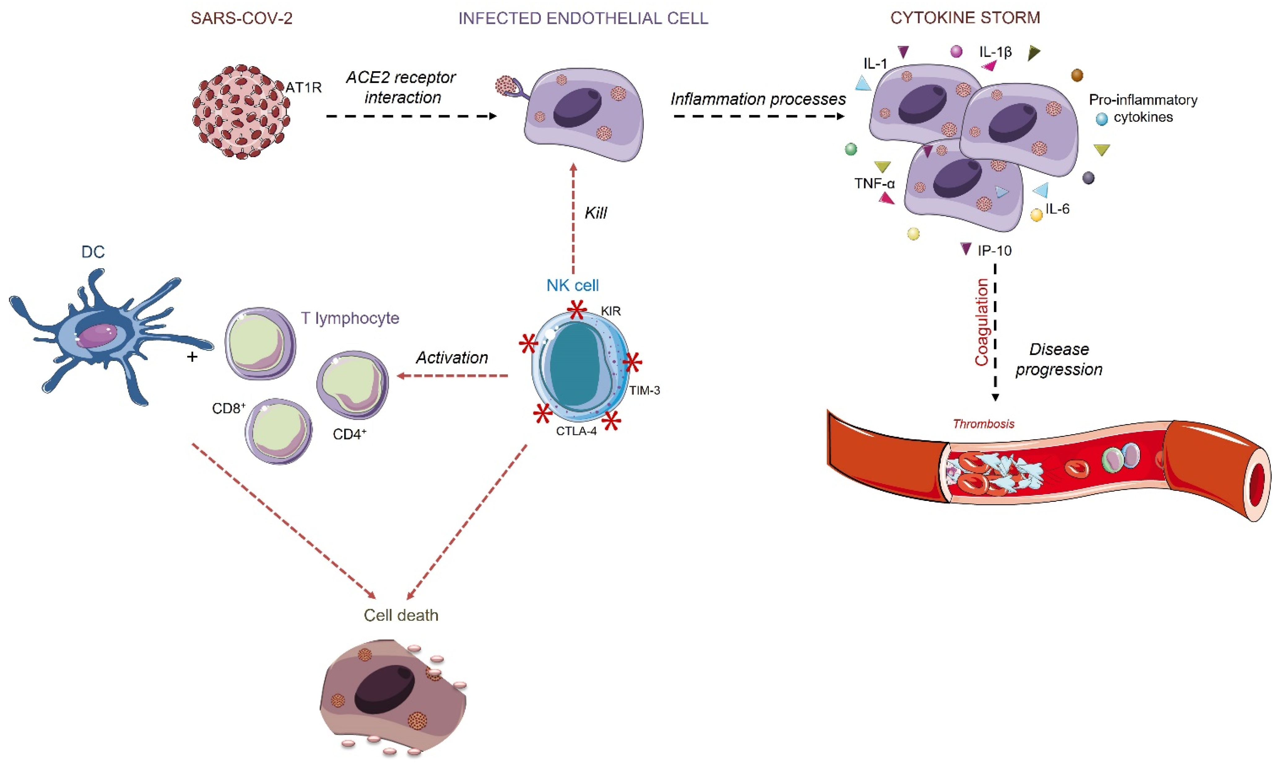 Biologics 01 00011 g003