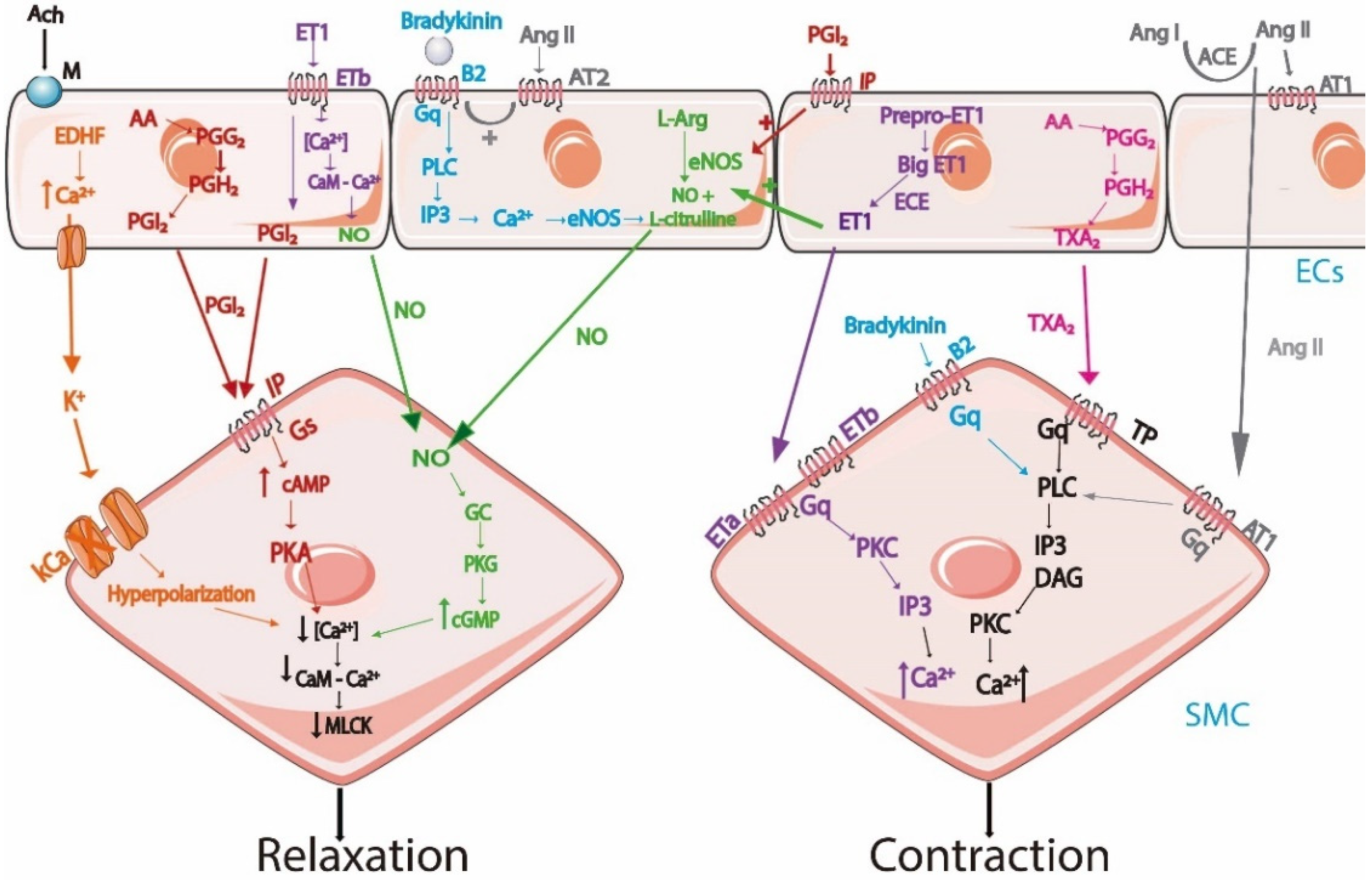 Biologics 01 00015 g001 Biologics 01 00015 g001