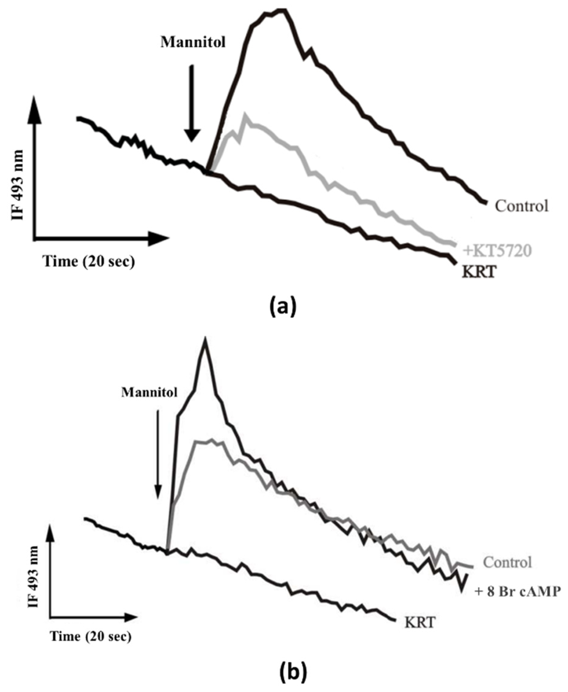 Biologics 01 00022 g002 Biologics 01 00022 g002