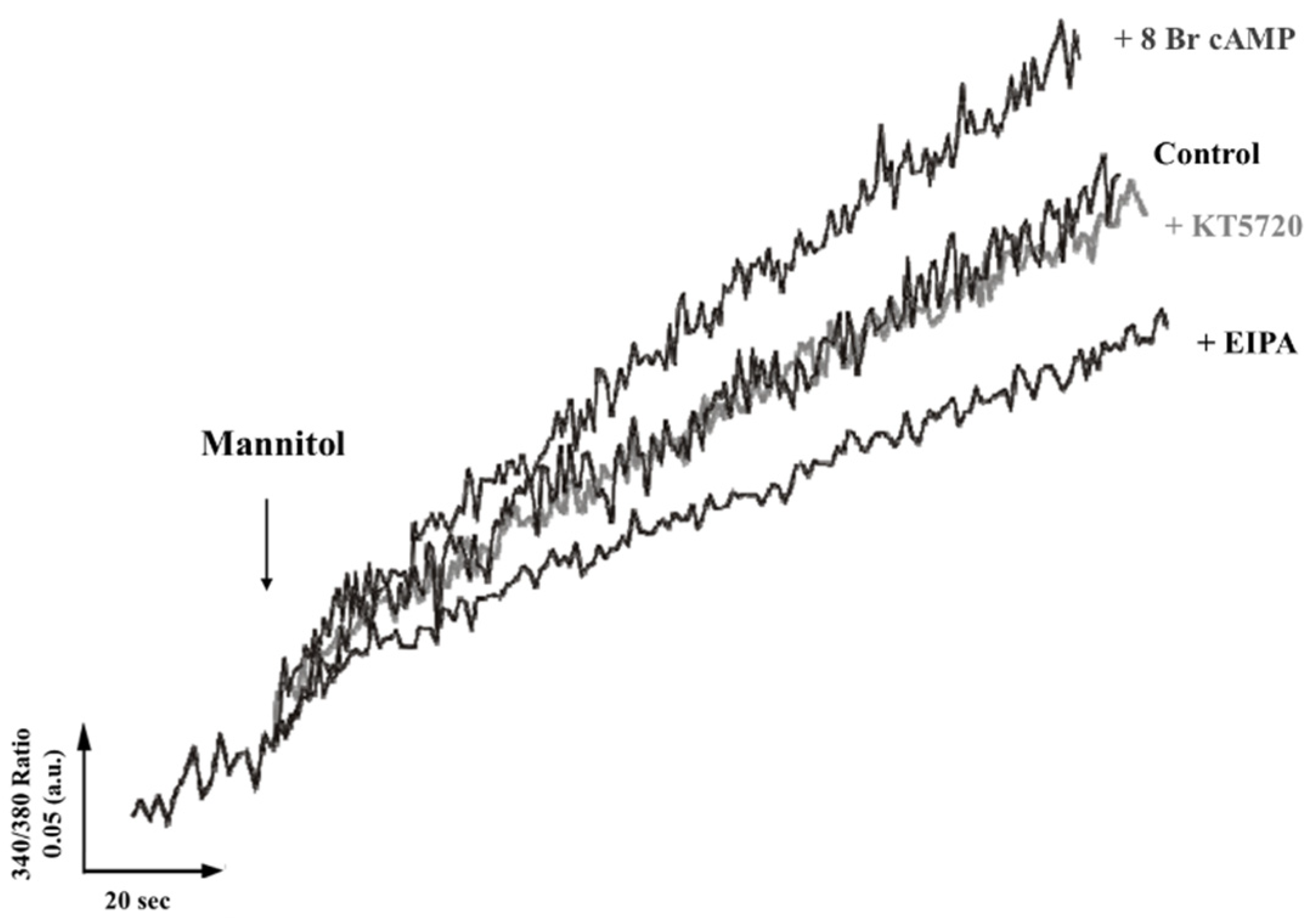 Biologics 01 00022 g003 Biologics 01 00022 g003