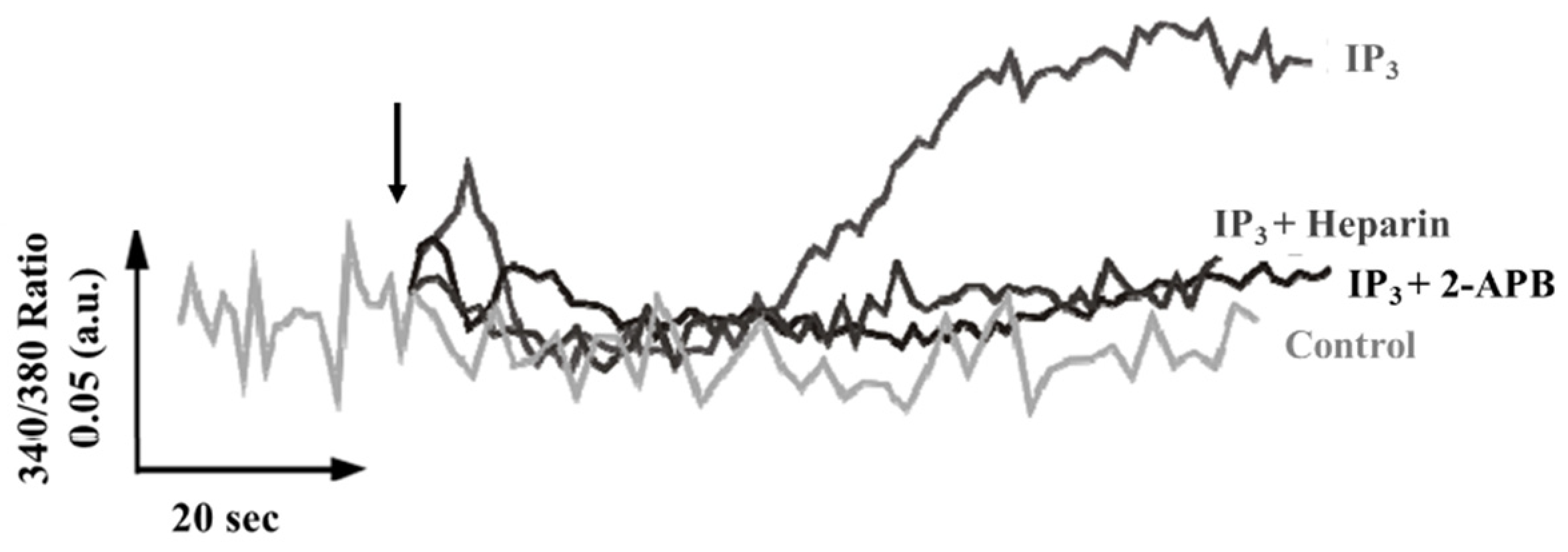 Biologics 01 00022 g004 Biologics 01 00022 g004