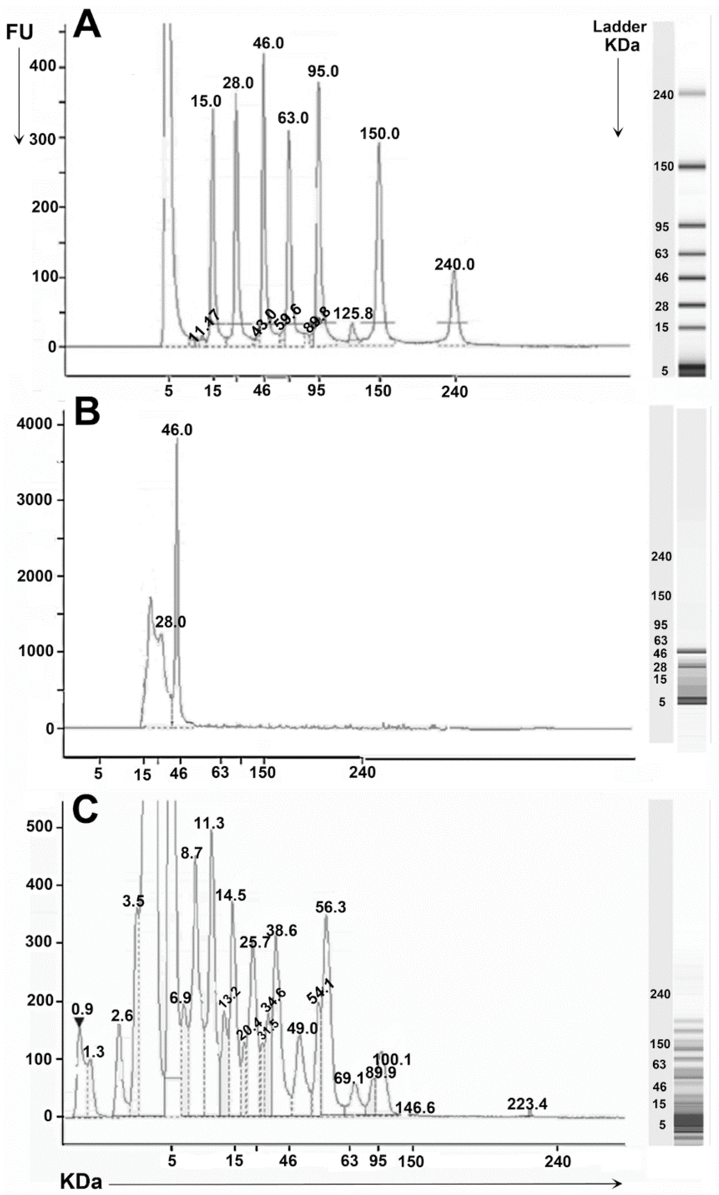 Biologics 02 00001 g001