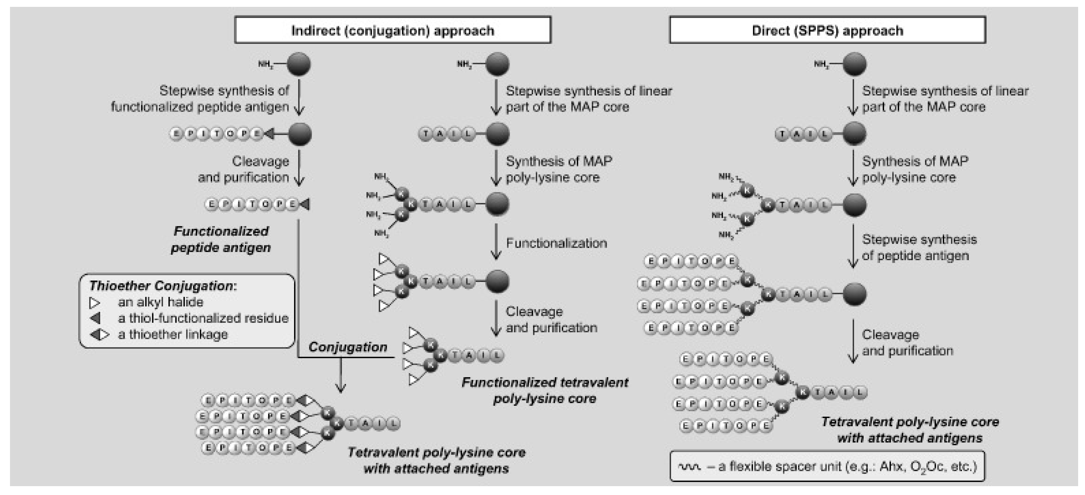 Biologics 02 00002 g005