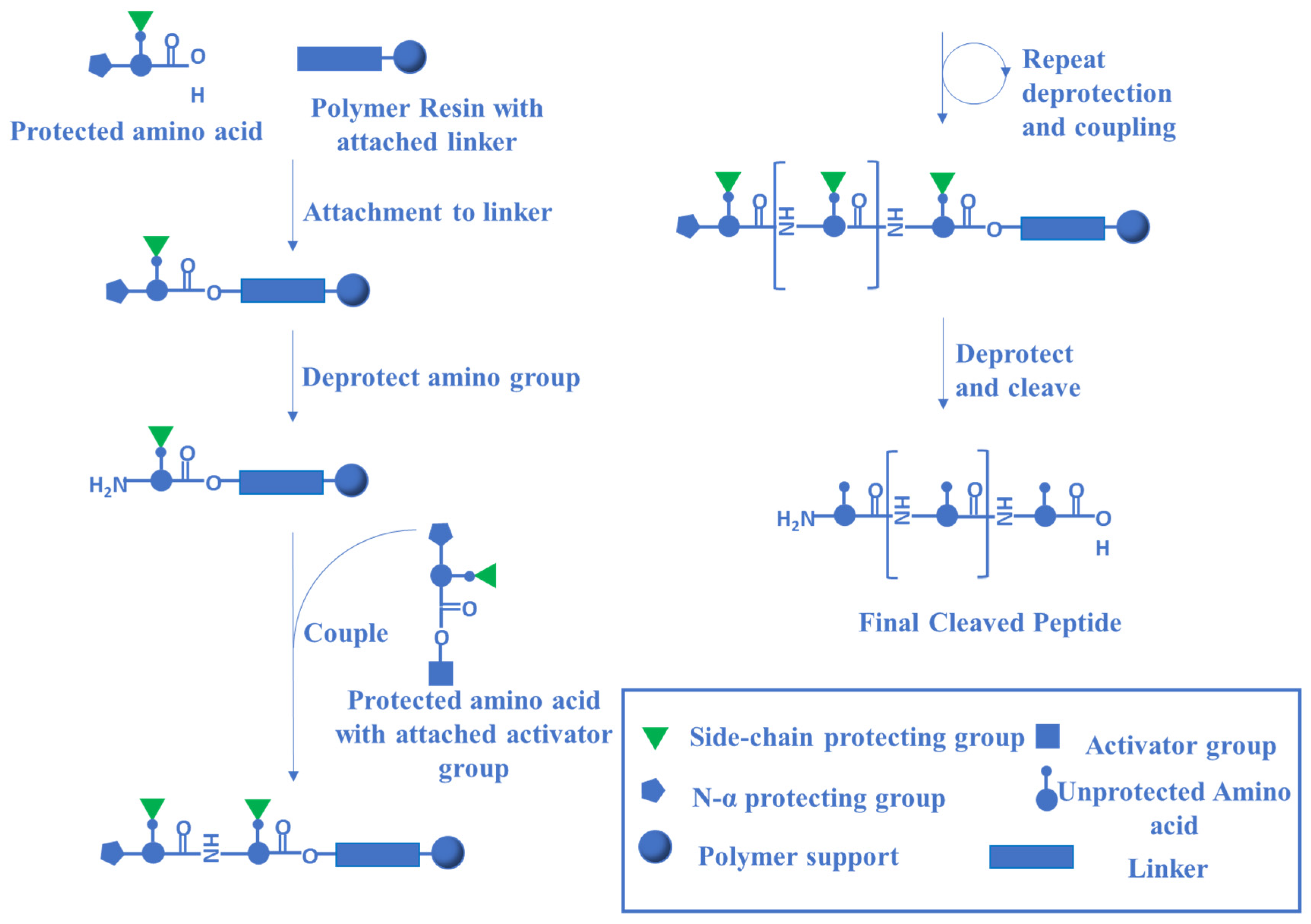 Biologics 02 00002 g008