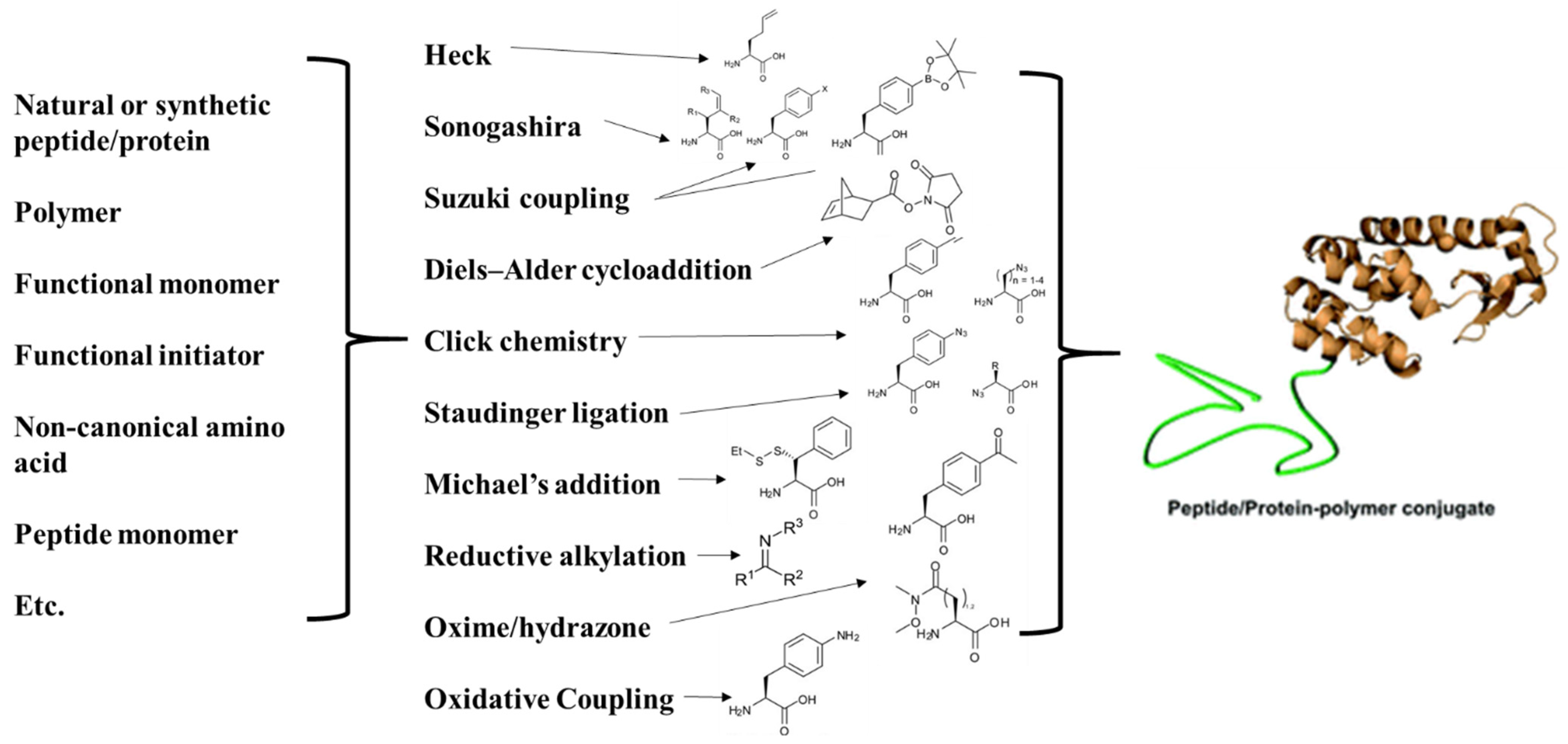 Biologics 02 00002 g009