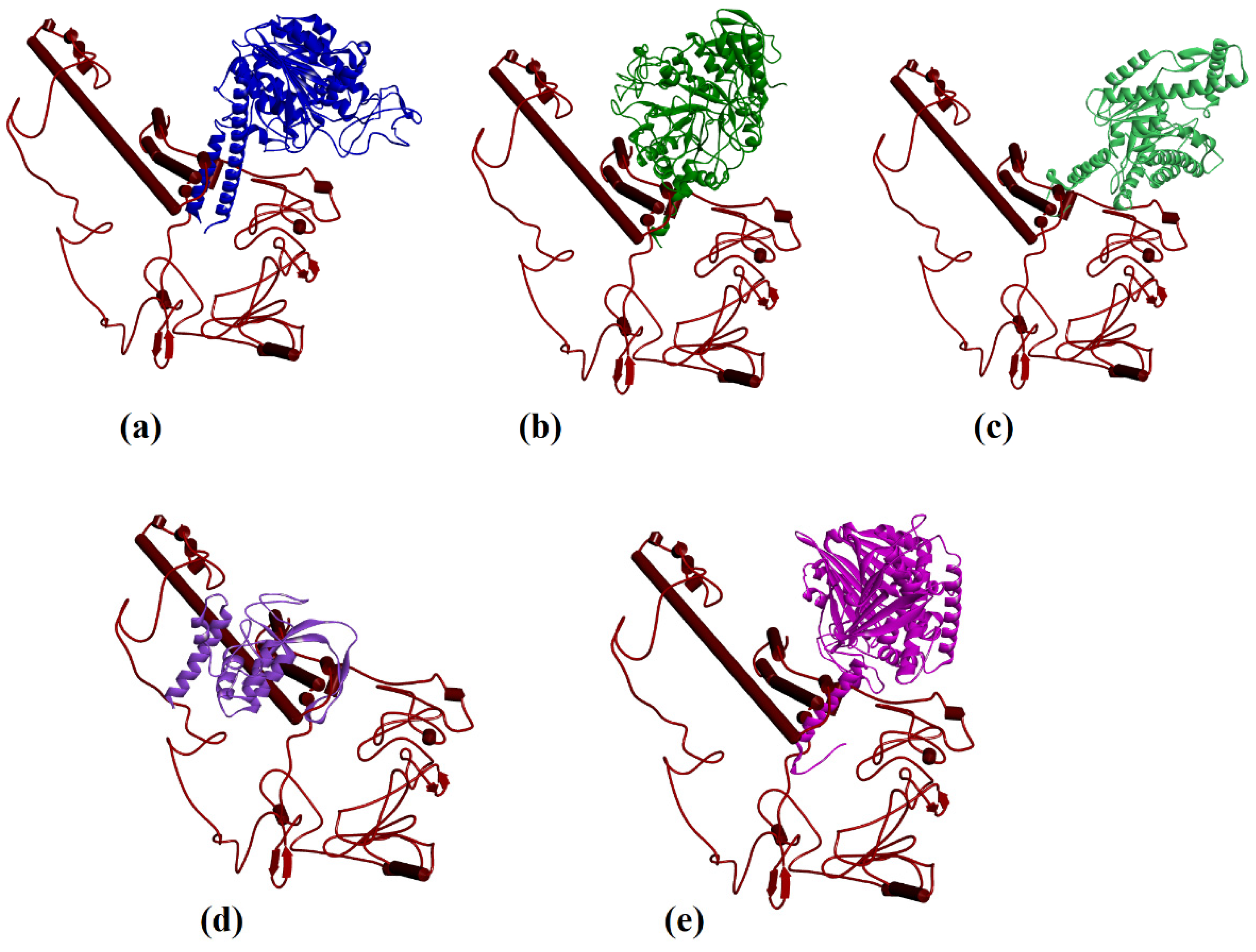 Biologics 02 00003 g004