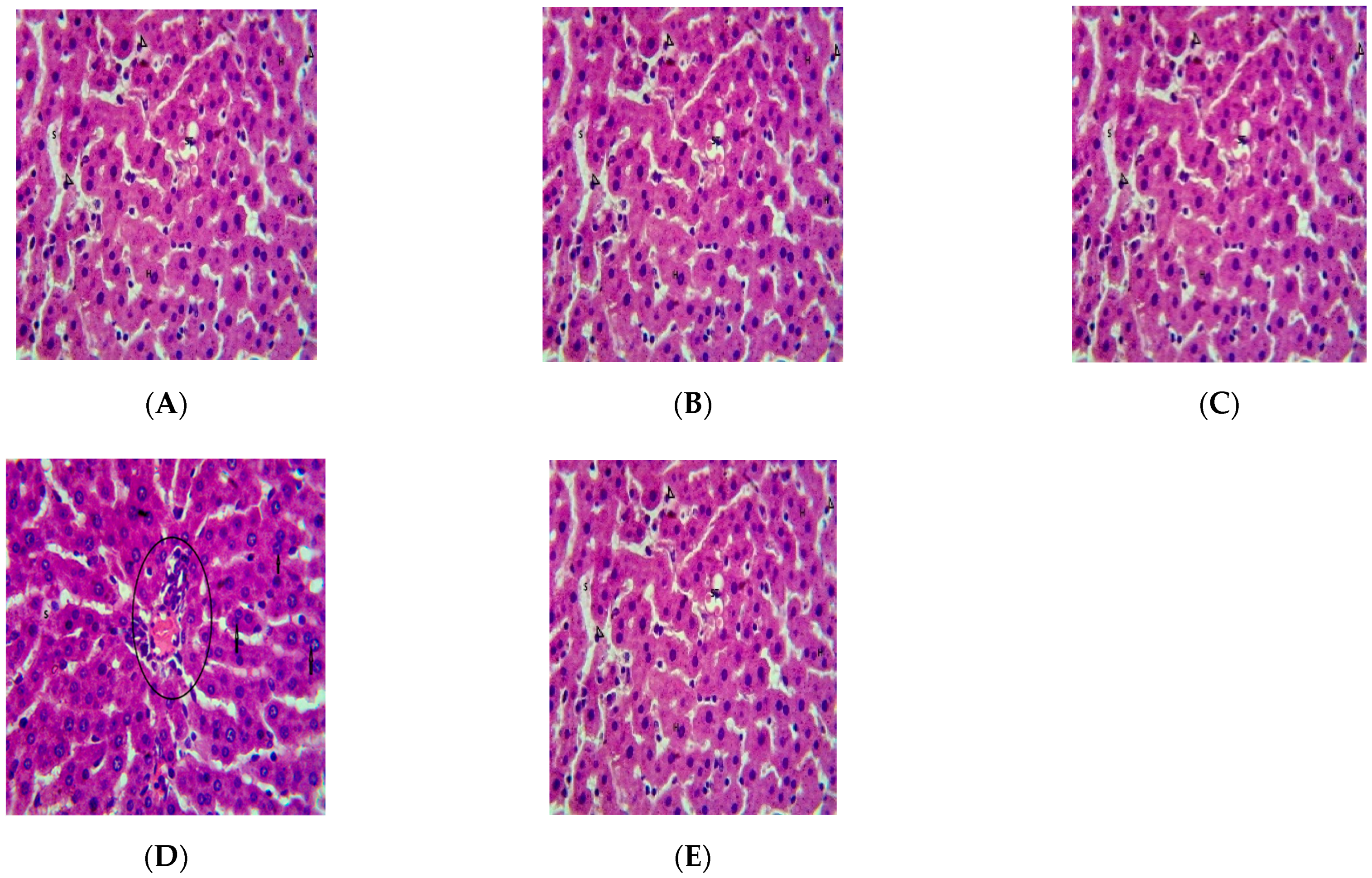 Biologics 02 00006 g005
